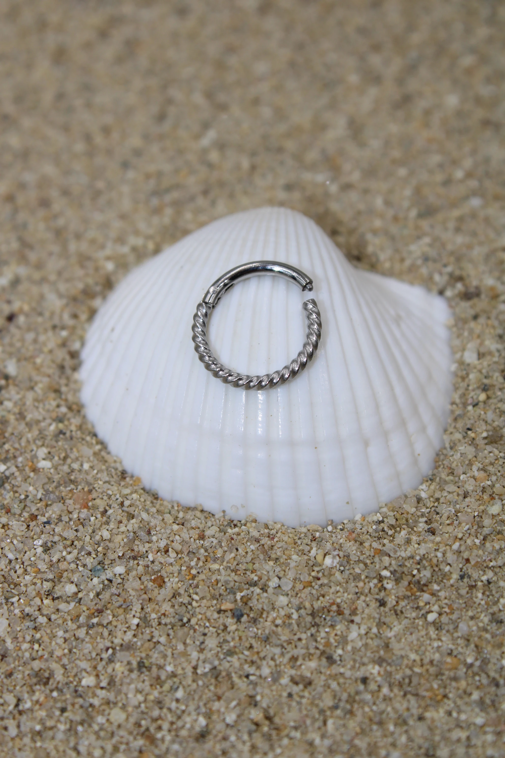 Çelik Piercing Burma Kilitli Halka