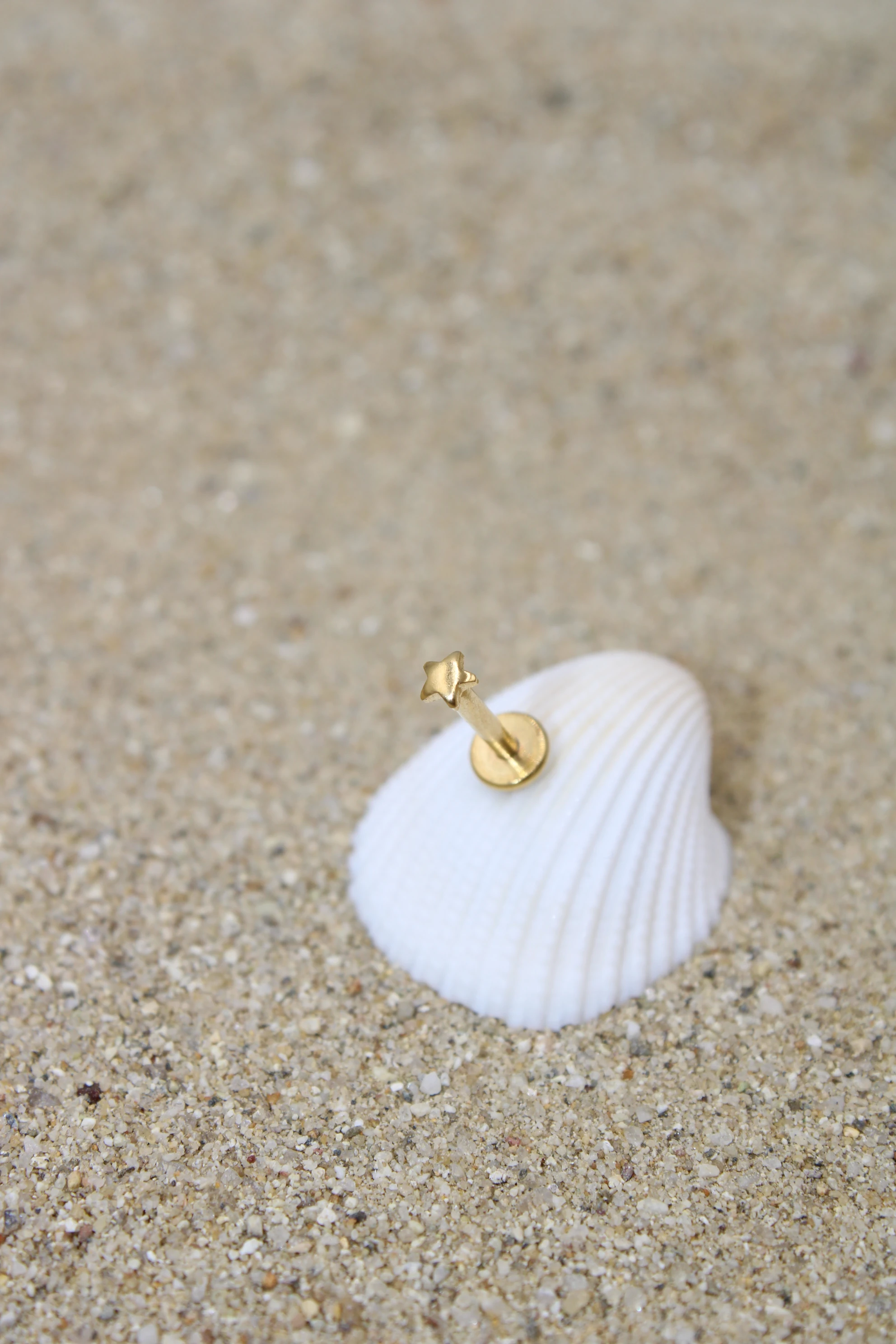 Çelik Piercing - Gold