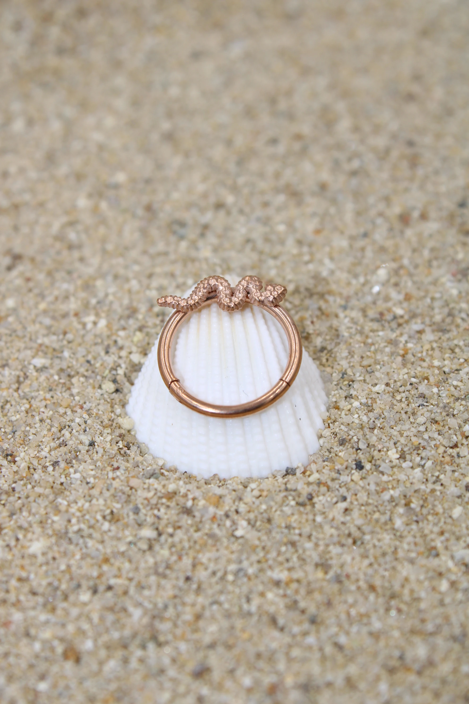 Çelik Piercing Kilitli Halka - Rose