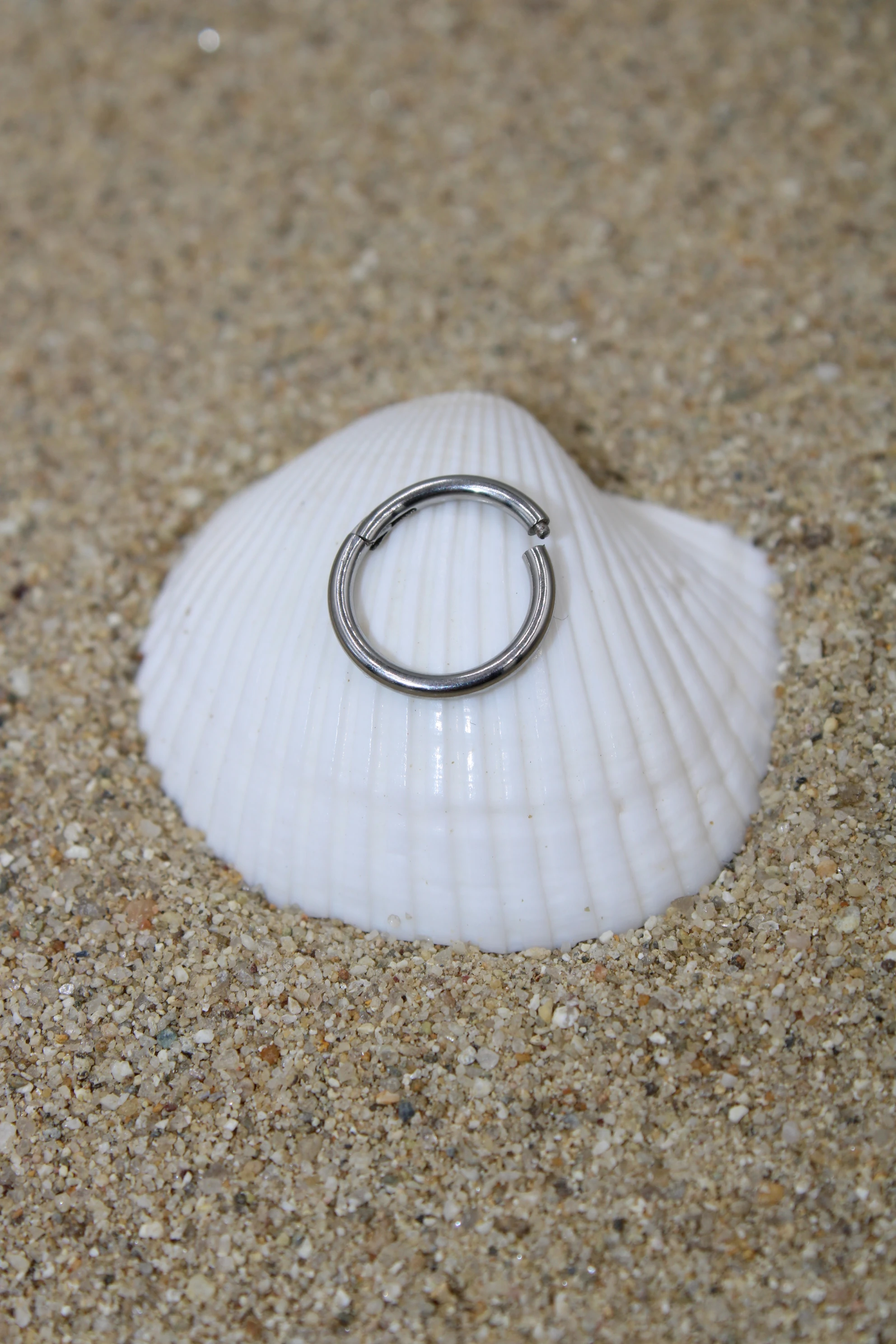 Çelik Piercing Kilitli Halka