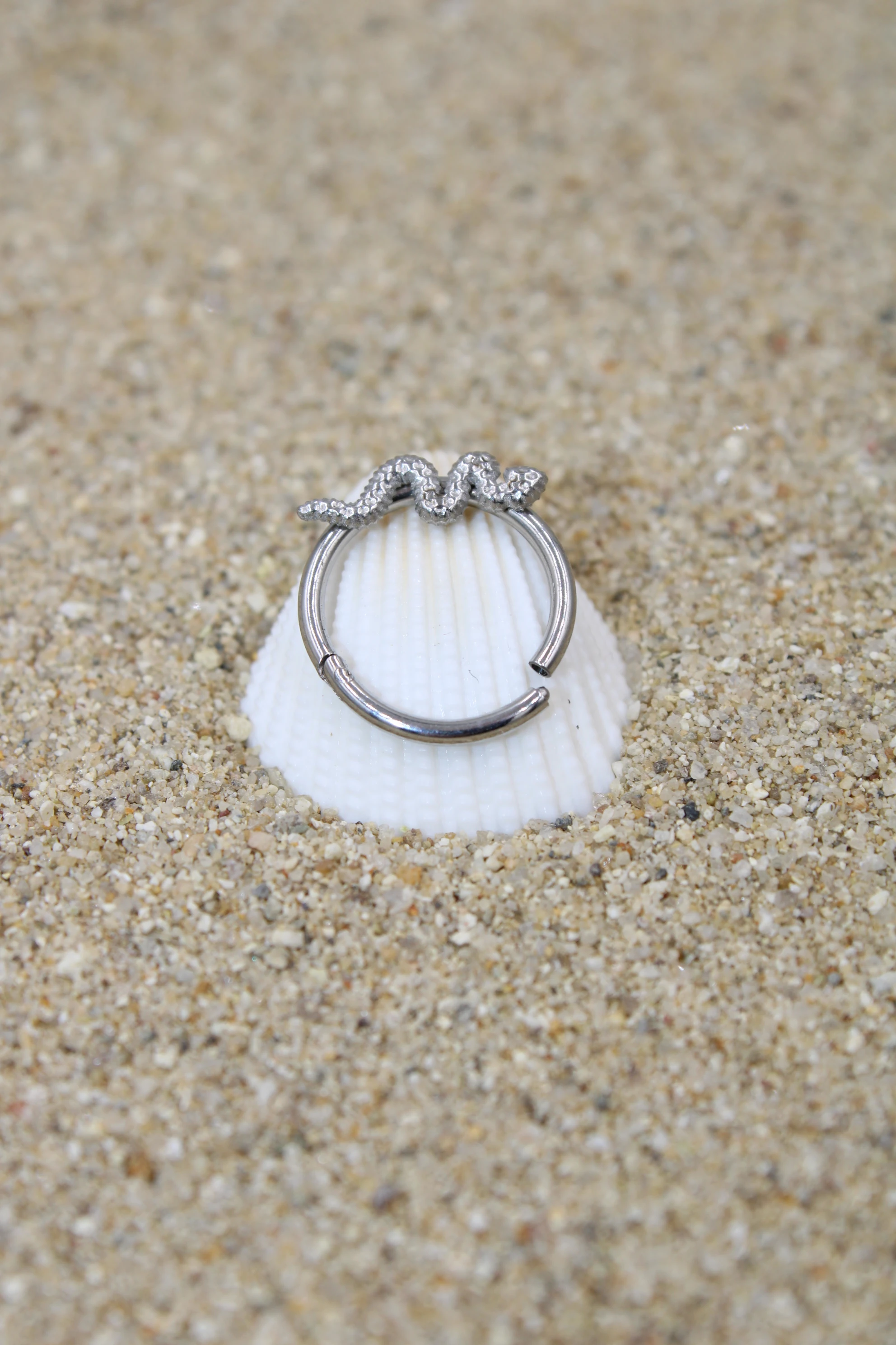 Çelik Piercing Kilitli Halka