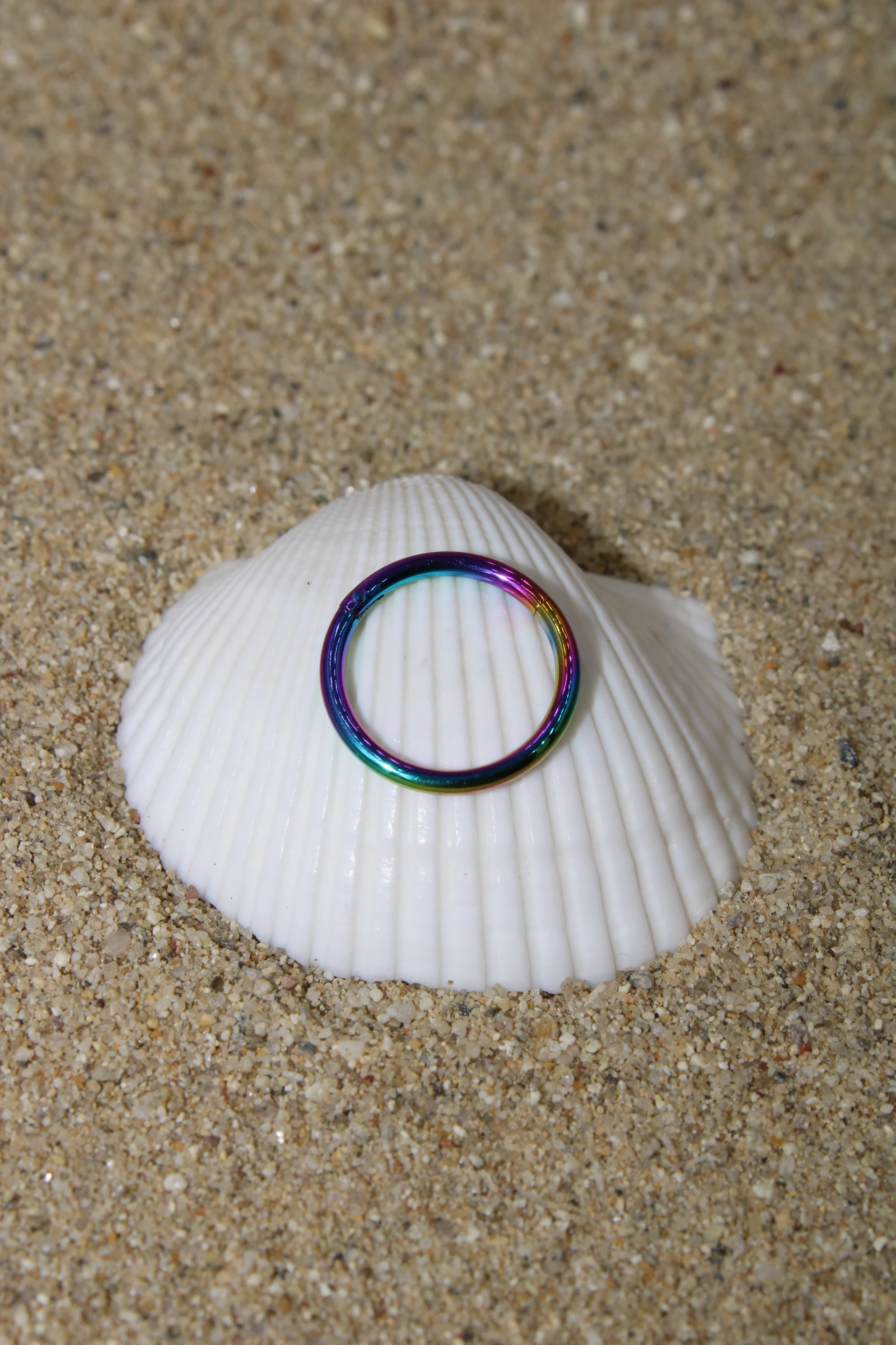 Çelik Piercing Kilitli Halka - Rainbow