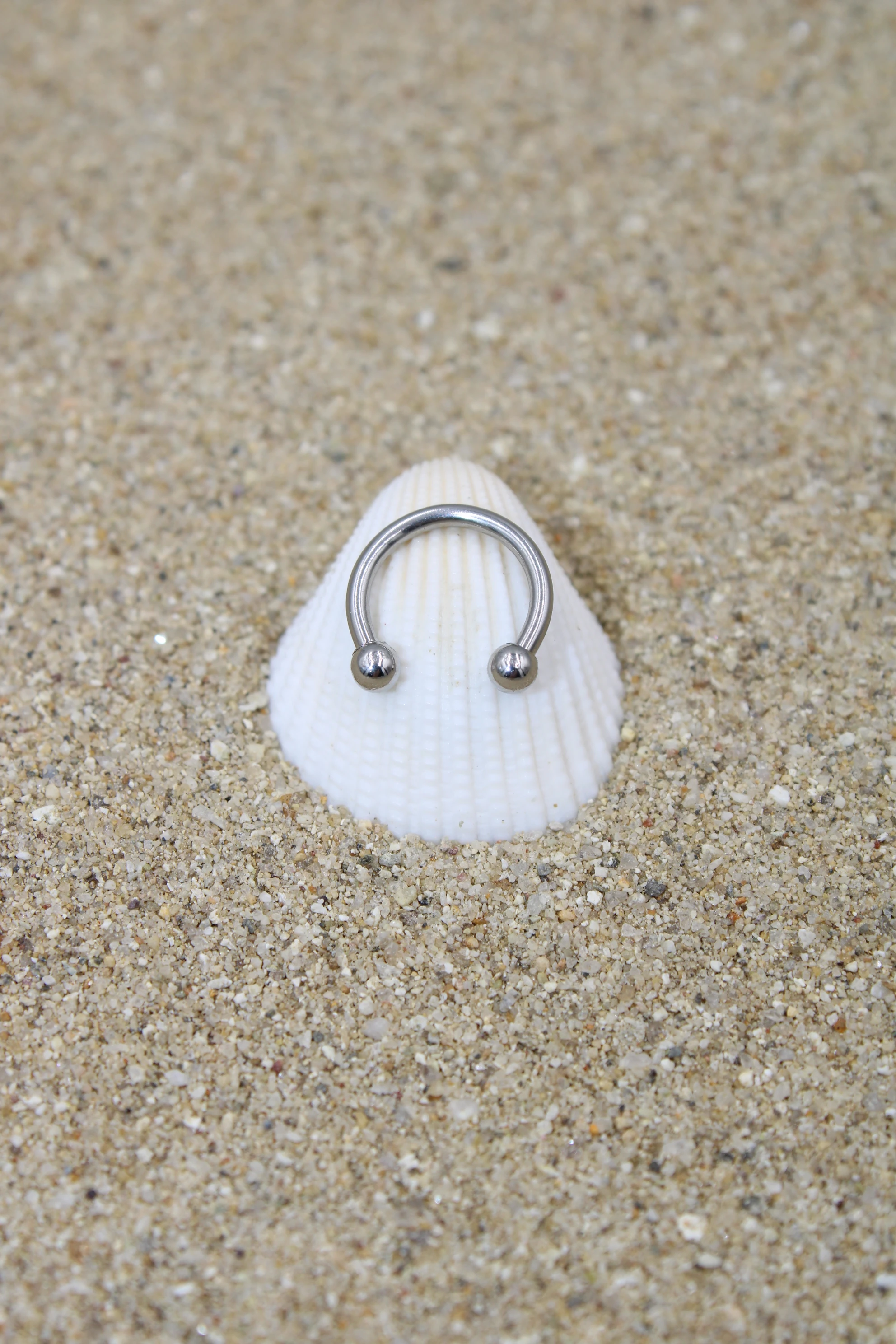 Çelik Piercing Halka Top Çap 2,50 mm - Silver