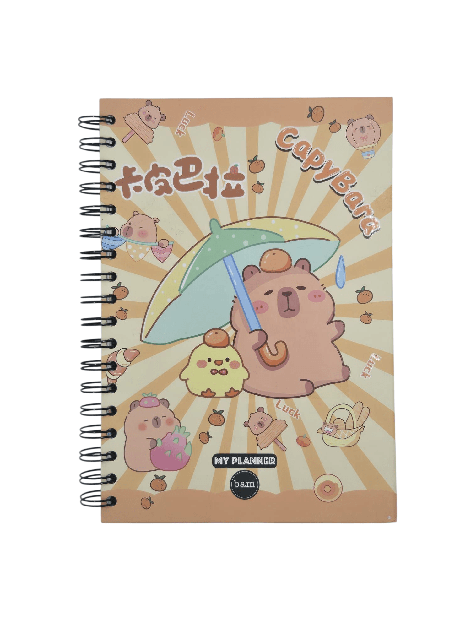 Neşe Dolu Defterler