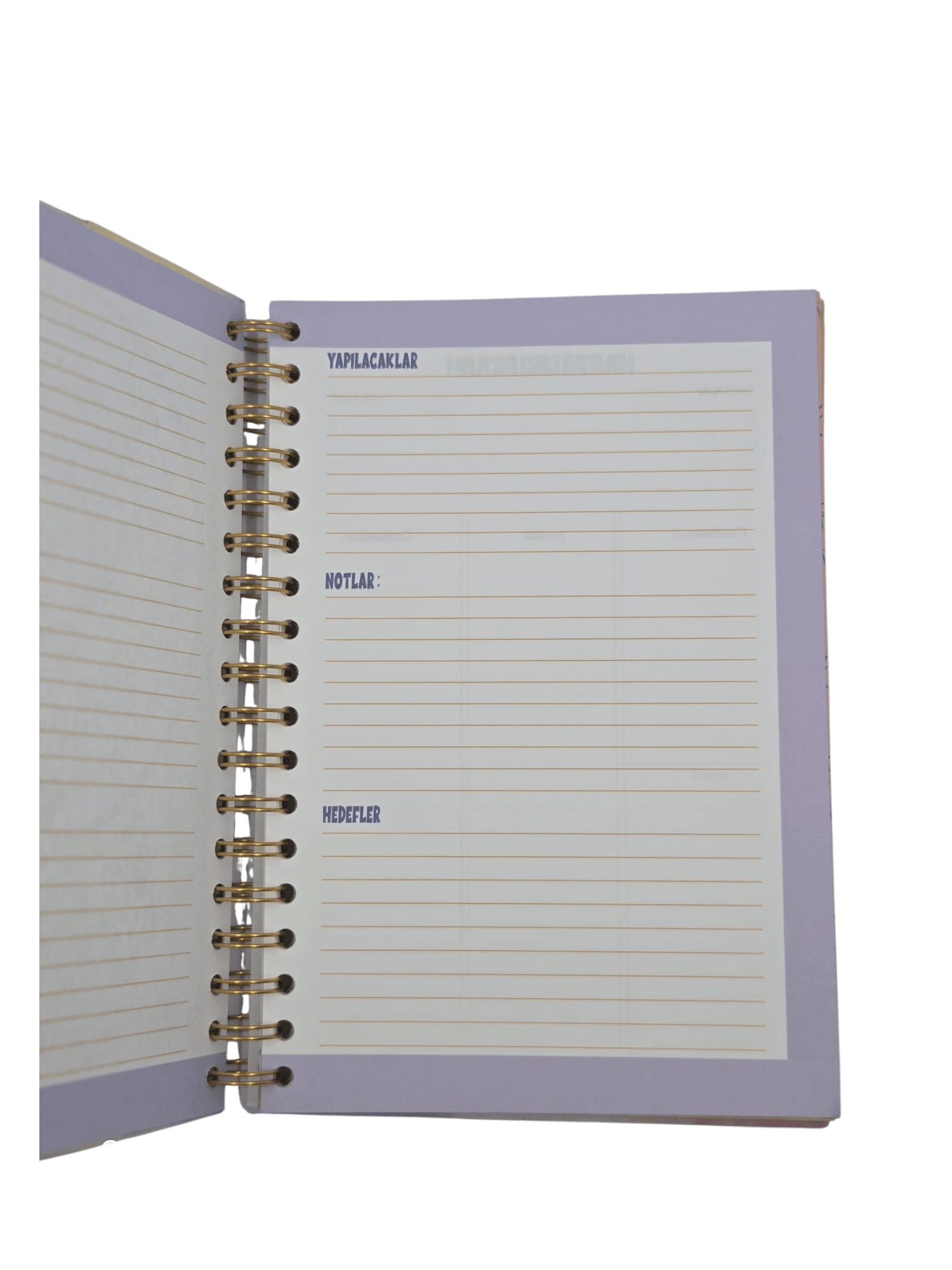 Neşe Dolu Defterler