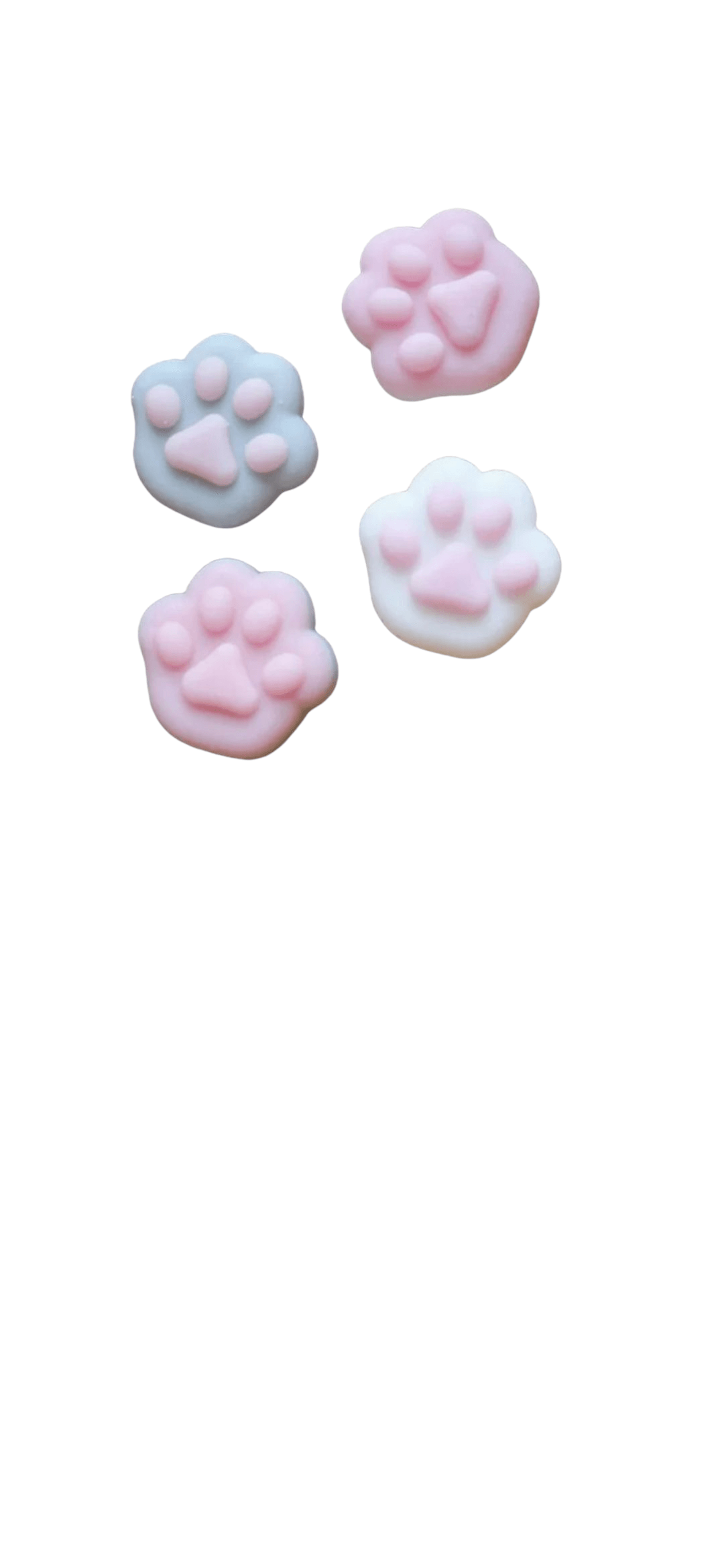 Kedi patisi squıshy