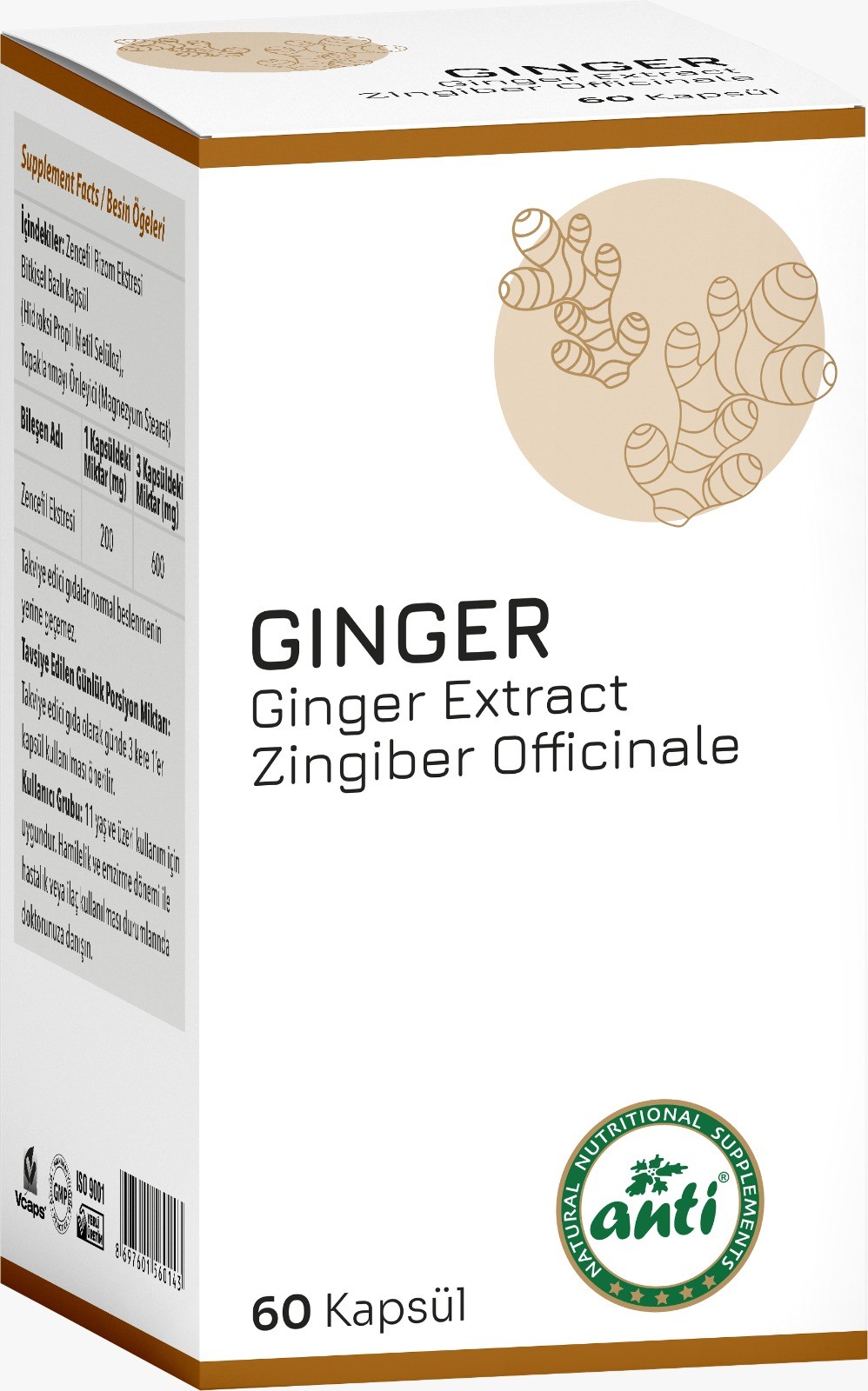 Ginger Extract ( Zencefil Ekstresi )
