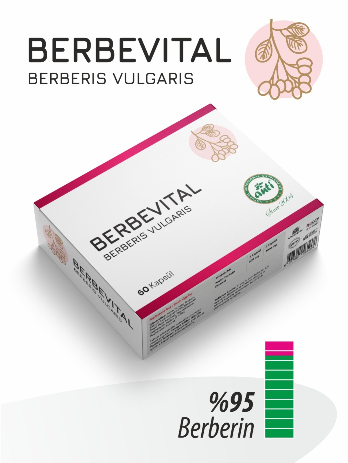 berbevital berberis vulgaris