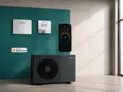 Vaillant