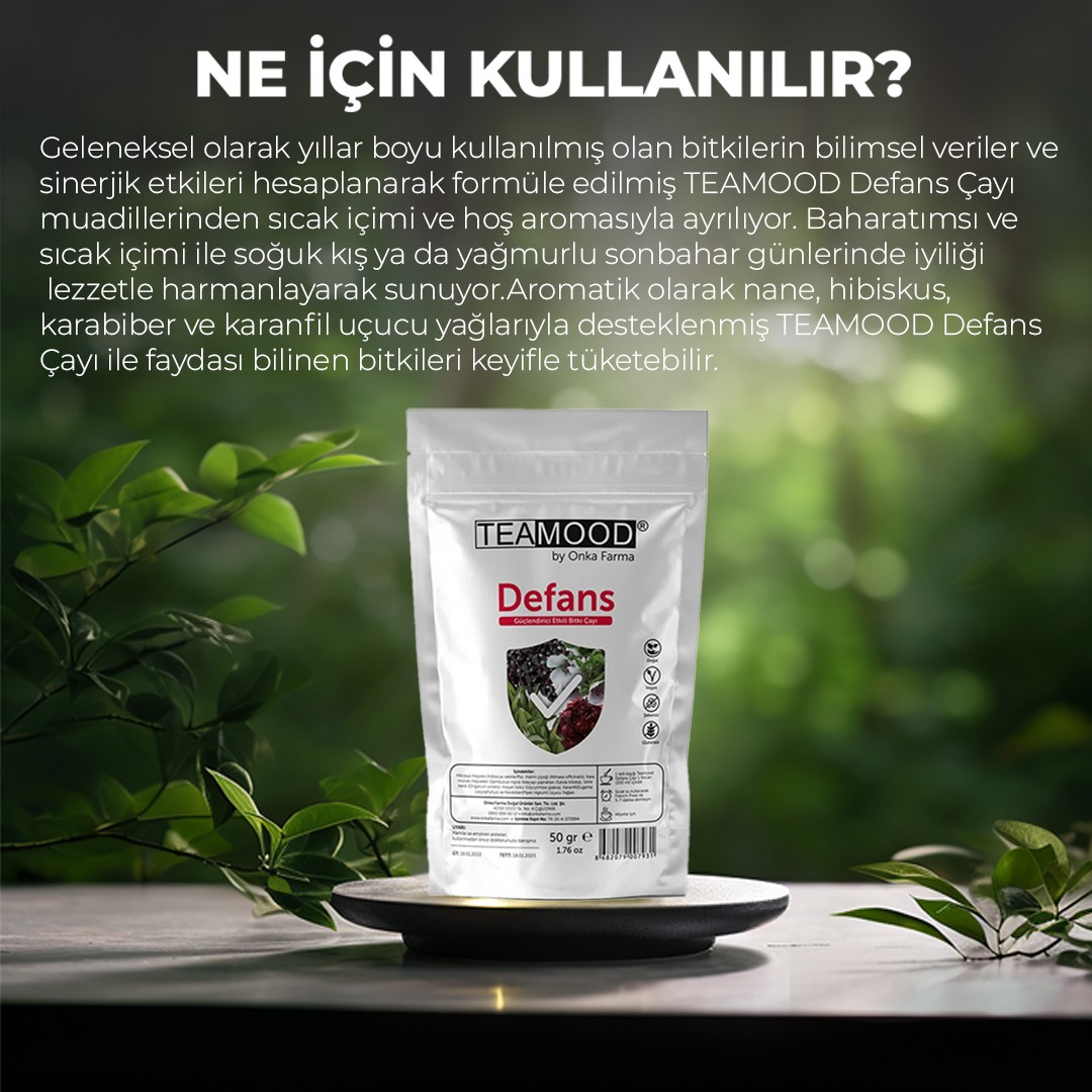 TEAMOOD Defence Tea - Ungesüßter natürlicher Kräutertee - 50 Gr