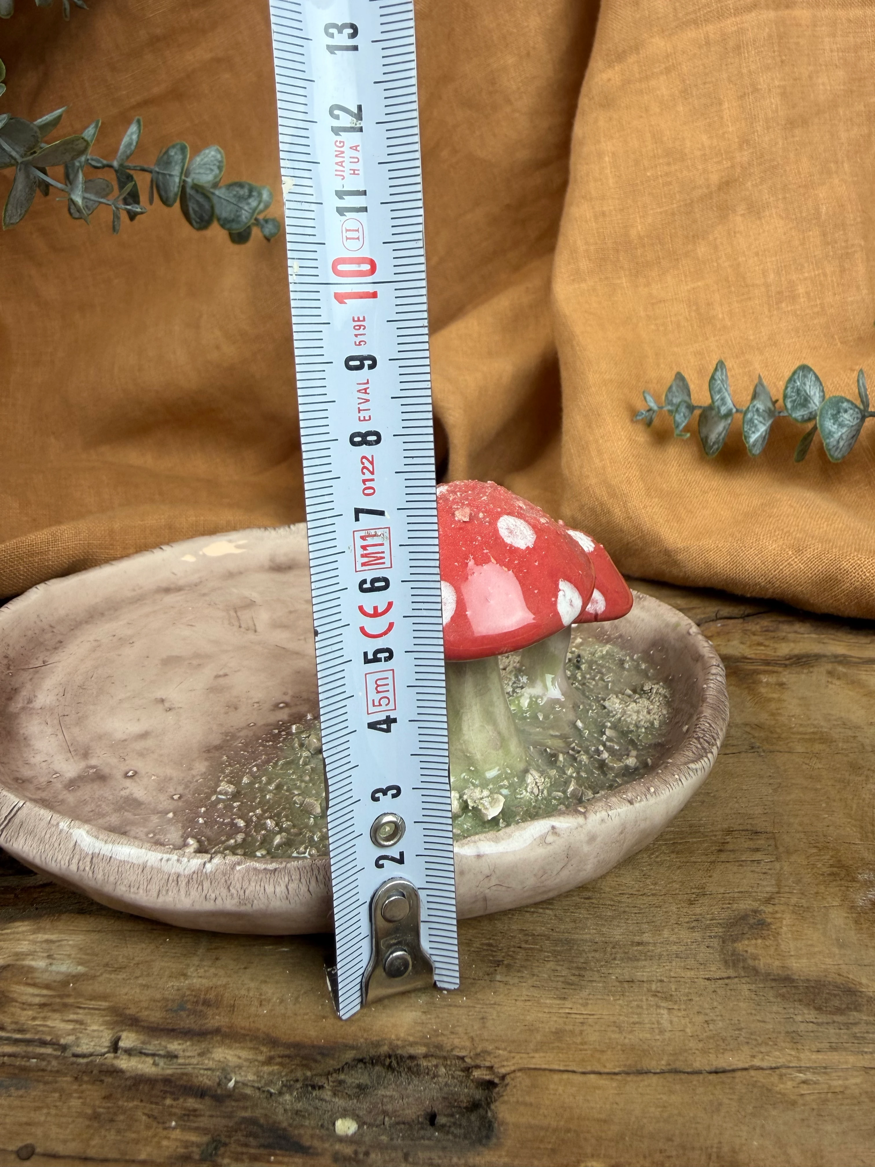 Mantarlı sunum tabağı. 