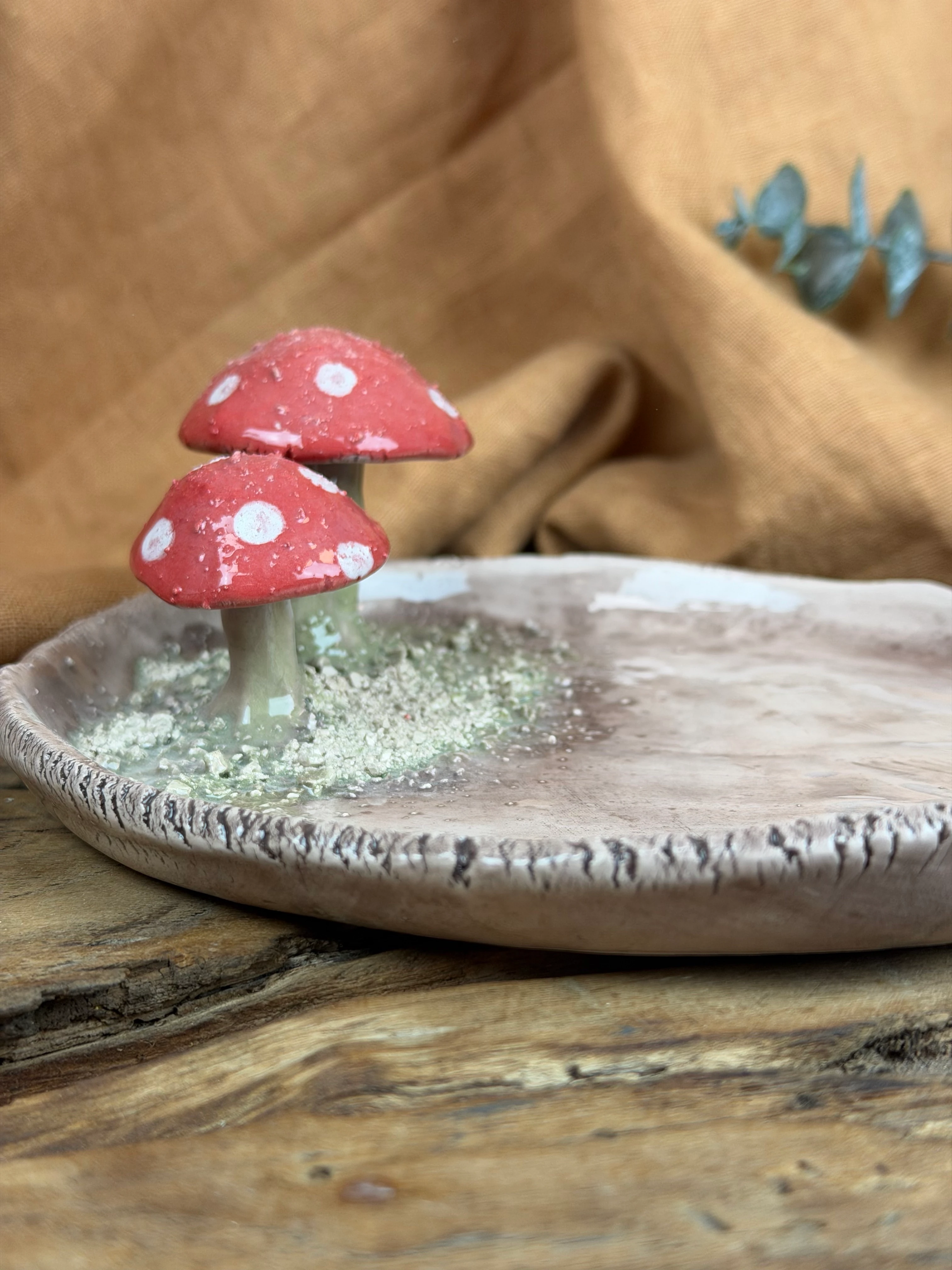 Mantarlı sunum tabağı. 