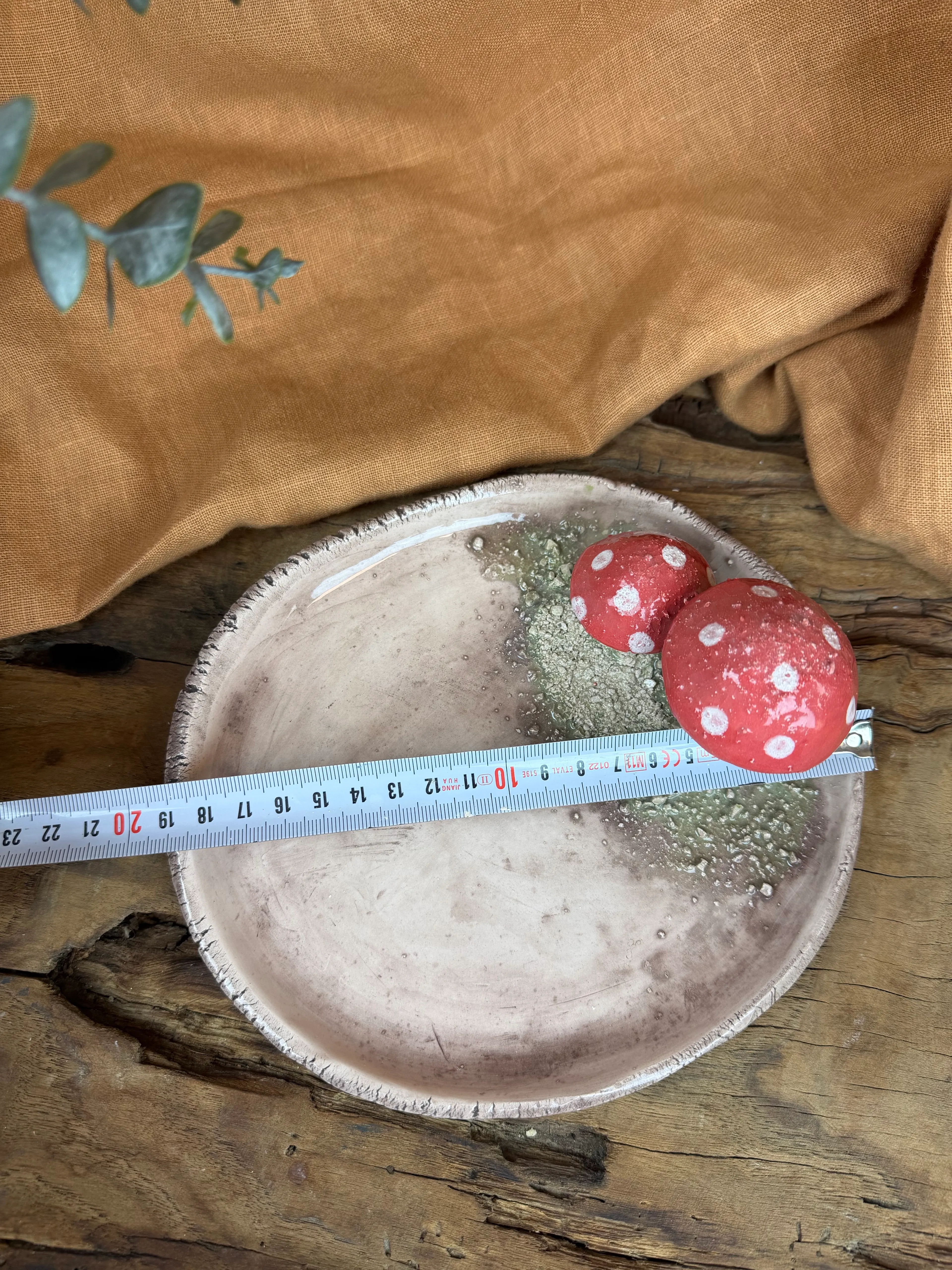 Mantarlı sunum tabağı. 