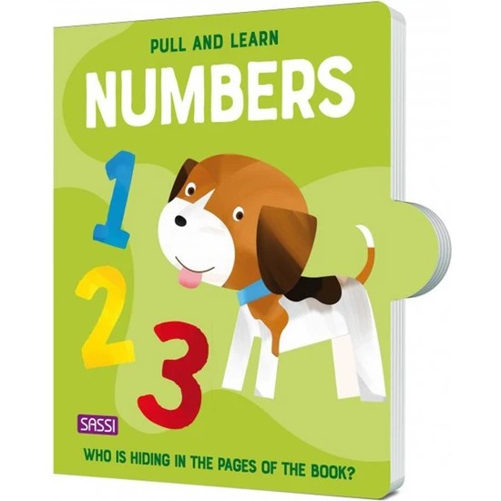 Sassı Pull And Learn Numbers