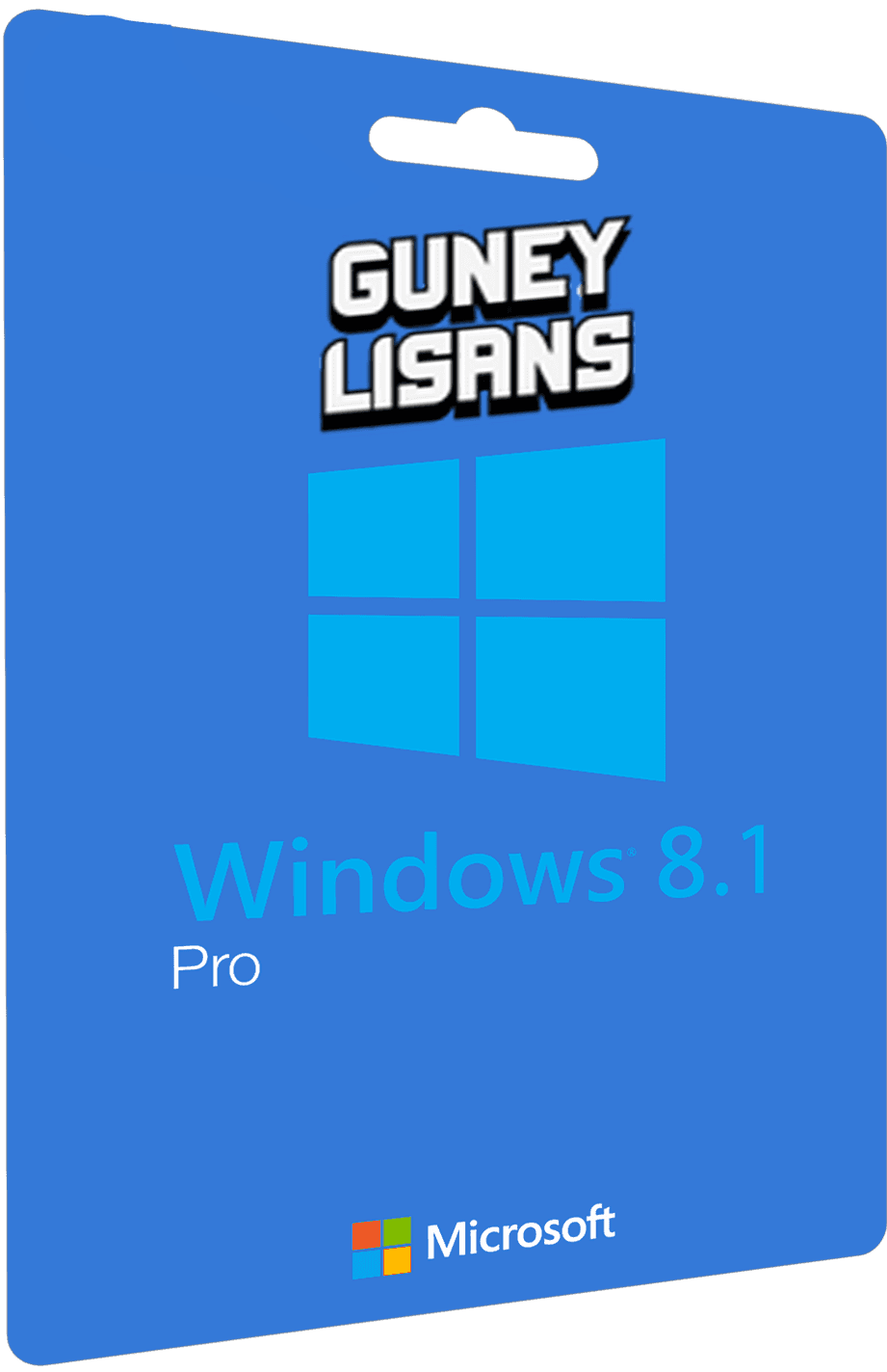 Windows 8.1 Pro Lisans Key