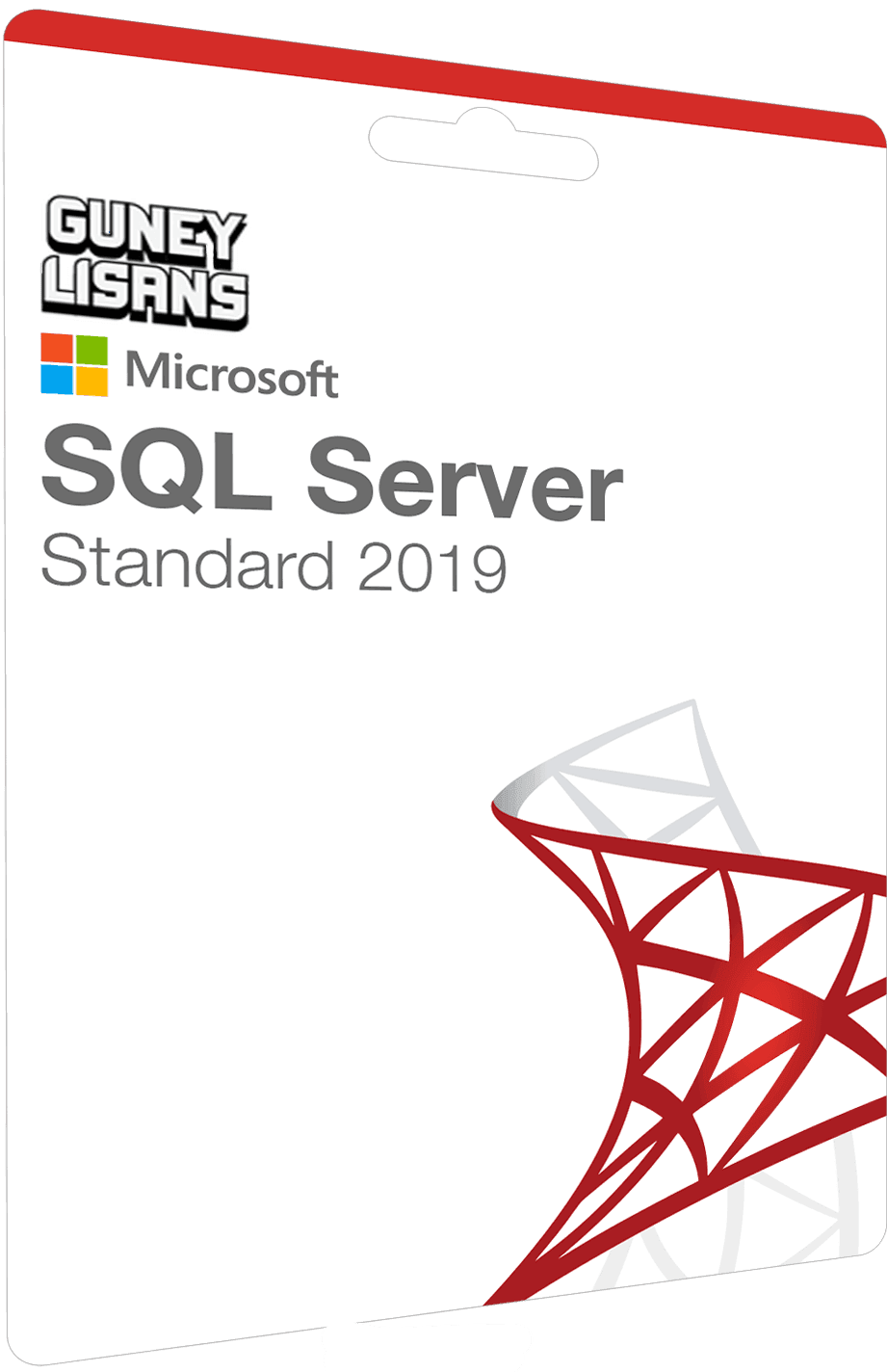 SQL Server 2019 Standard Lisans Key