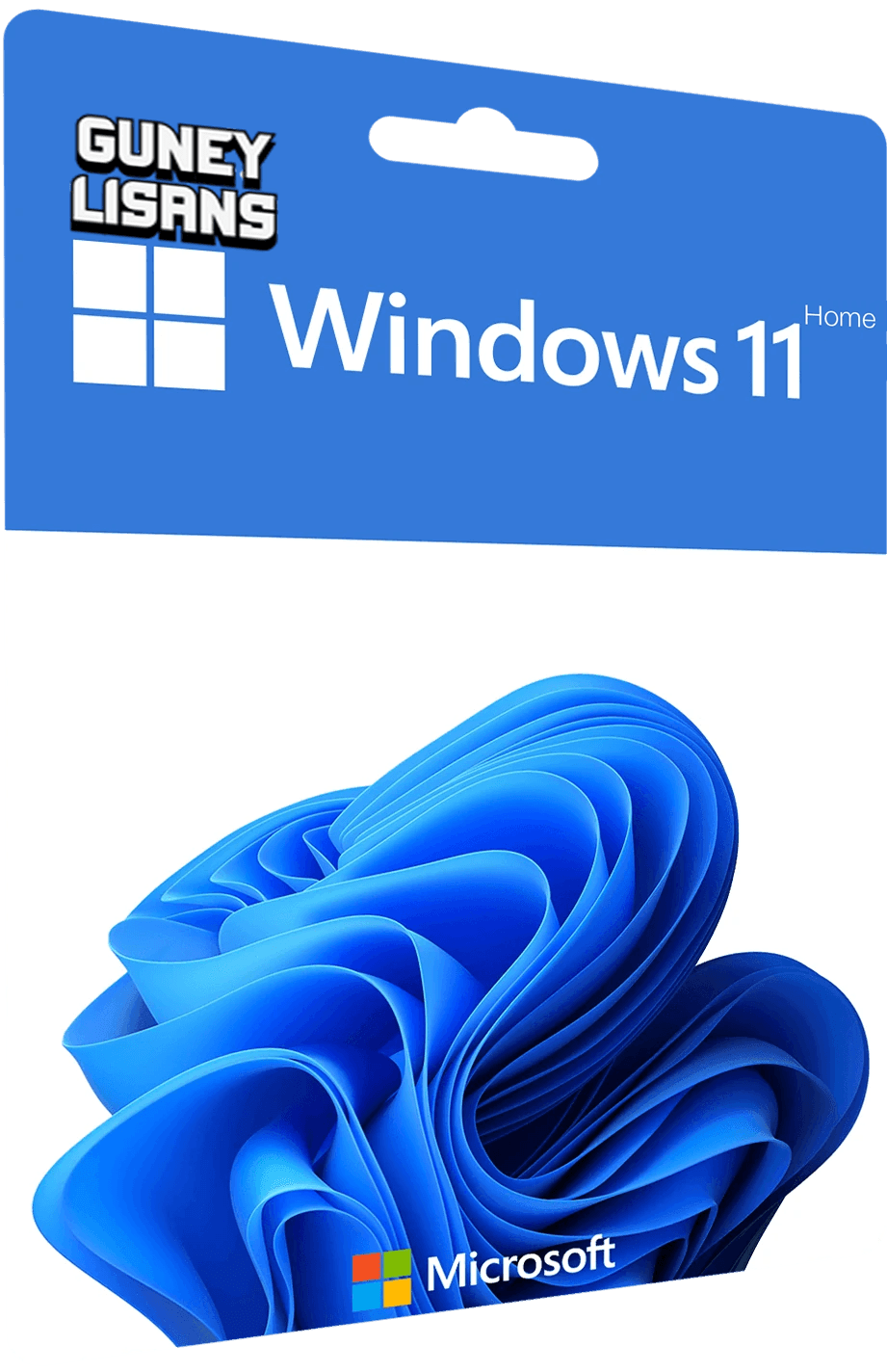 Windows 11 Home Lisans Key - Retail