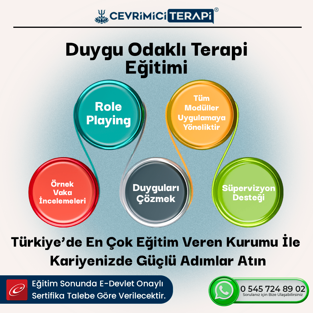 Duygu Odaklı Terapi Eğitimi