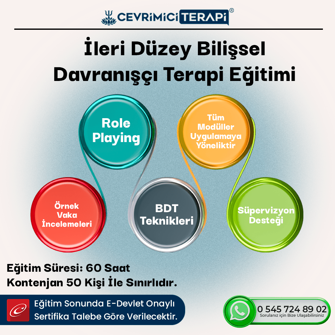 İleri Düzey BDT Eğitimi