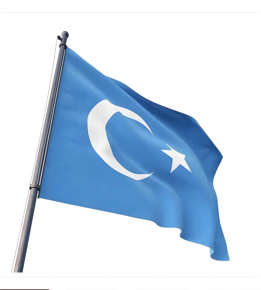 Doğu Türkistan Bayrağı (Gök bayrak)