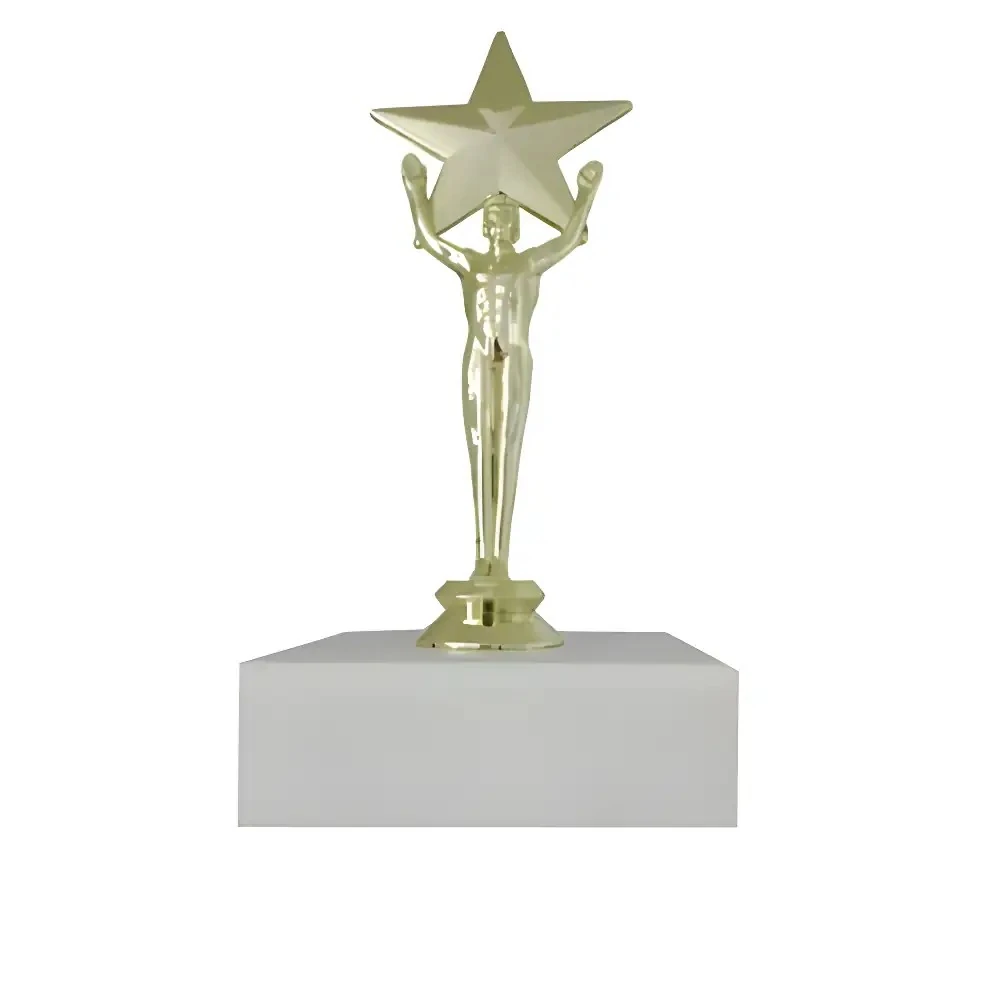  Başarı Figürü Yıldızlı (FG11)