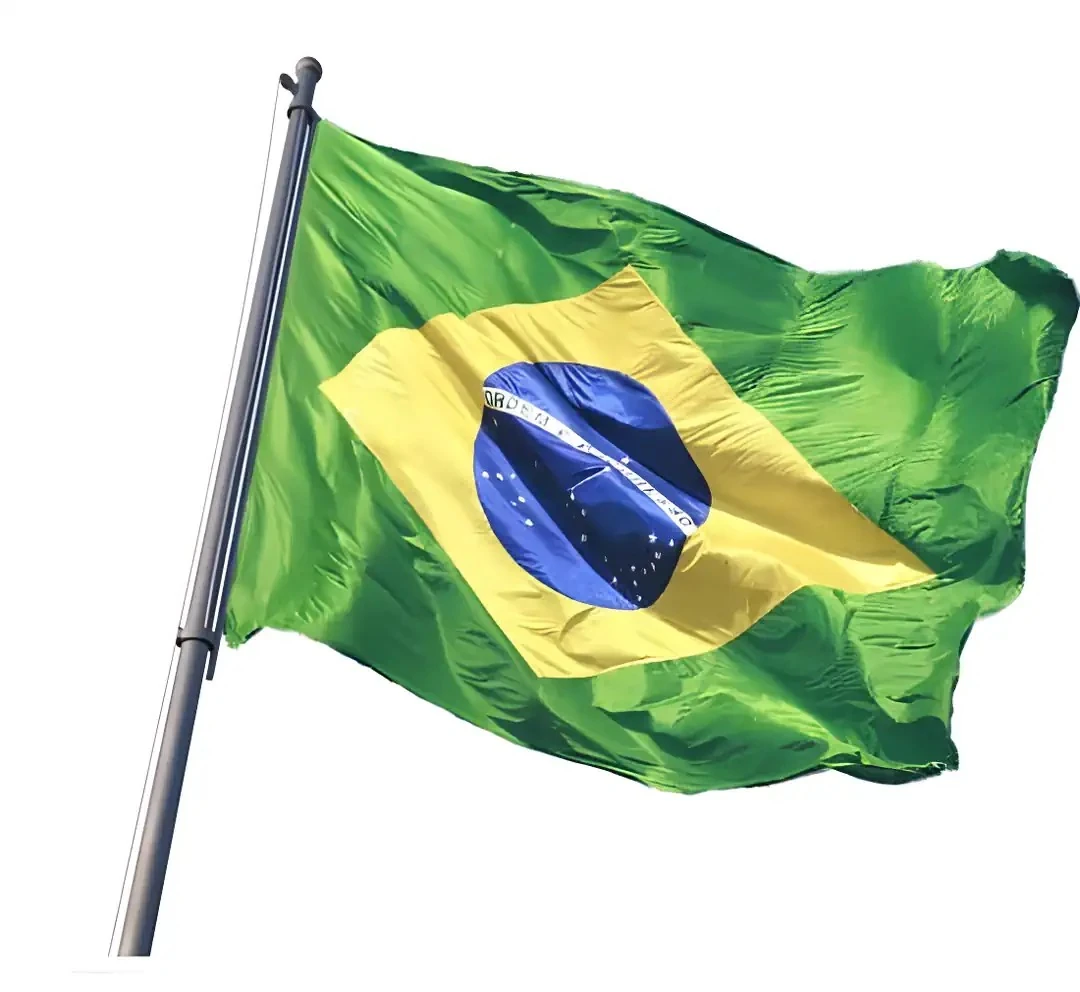  Brezilya Bayrağı