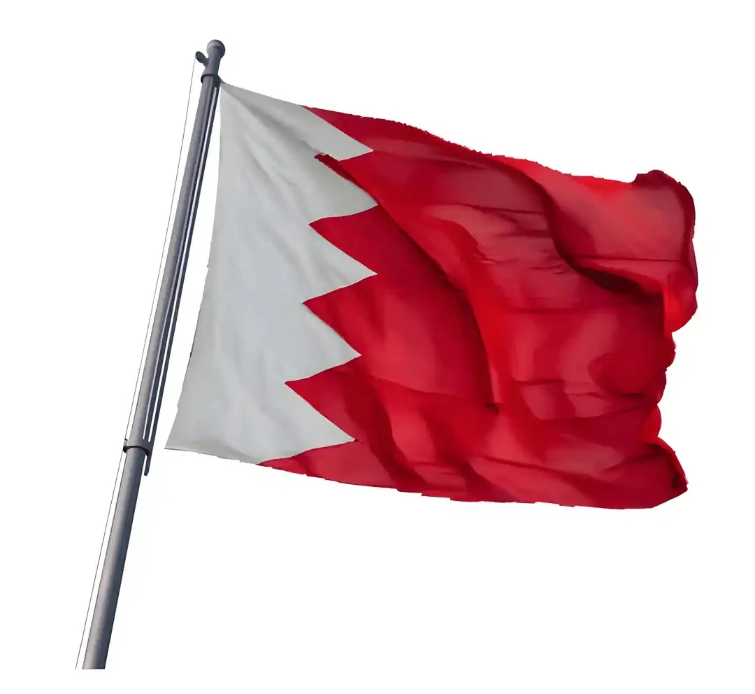  Bahreyn Bayrağı
