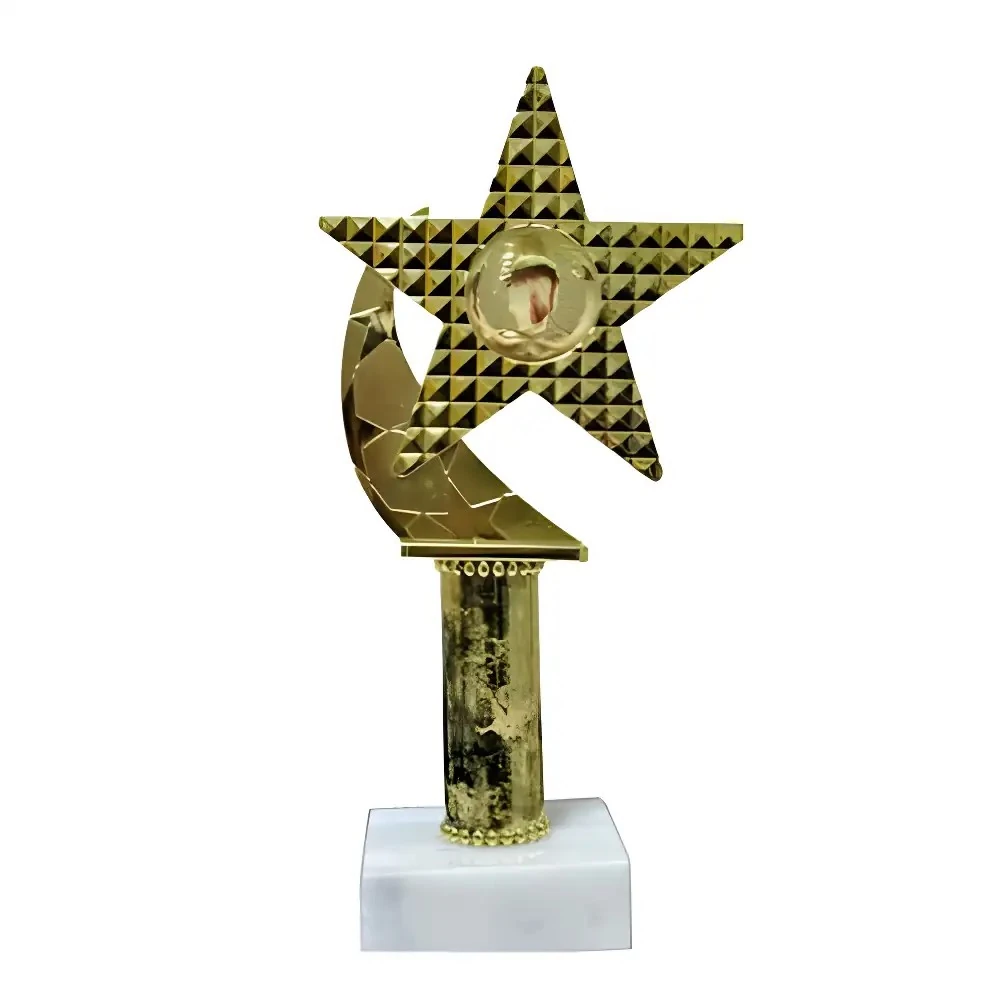 Ödül Kupası (ERY132 - 34 cm)