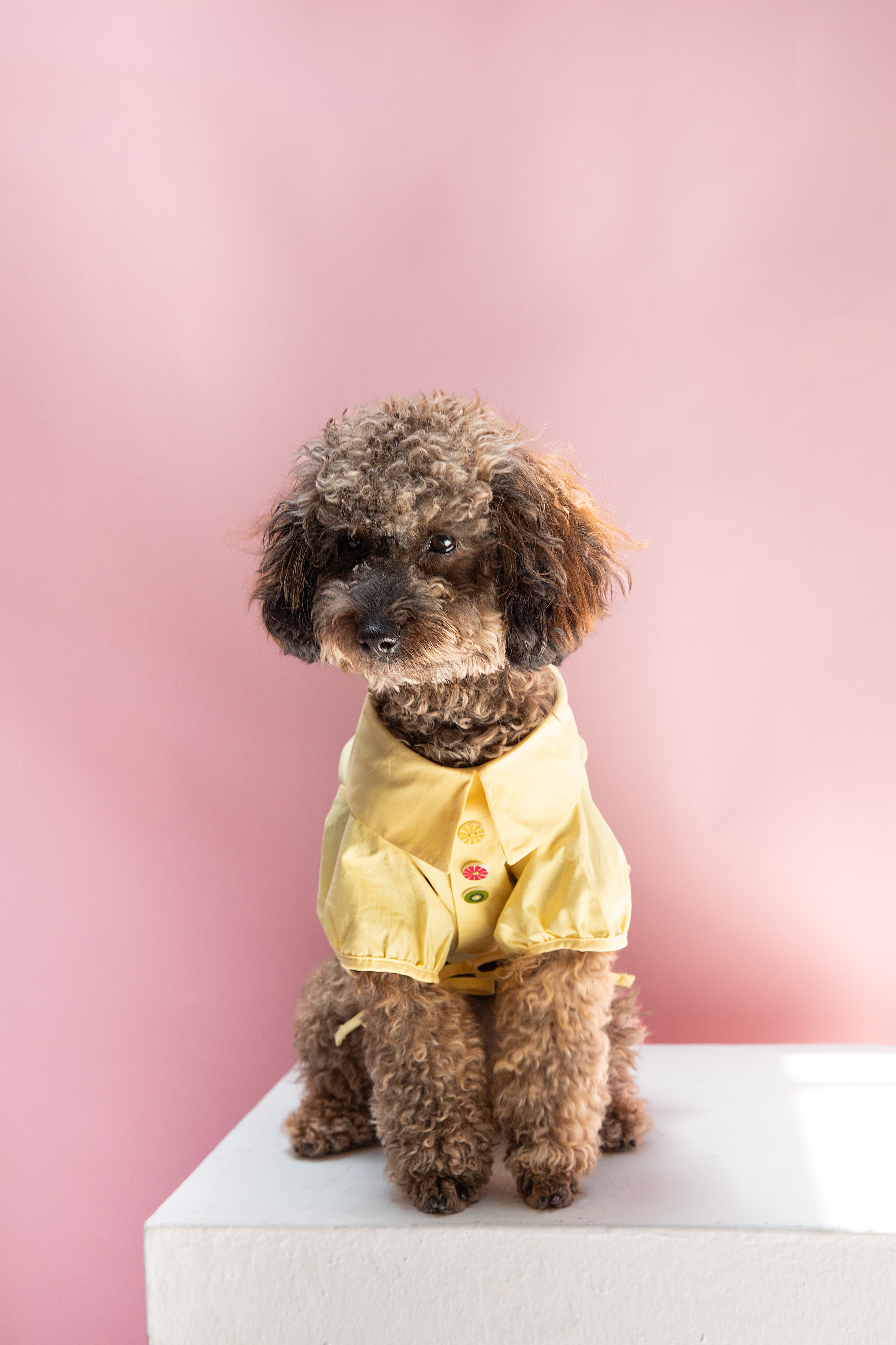 CHERIE SHIRT
