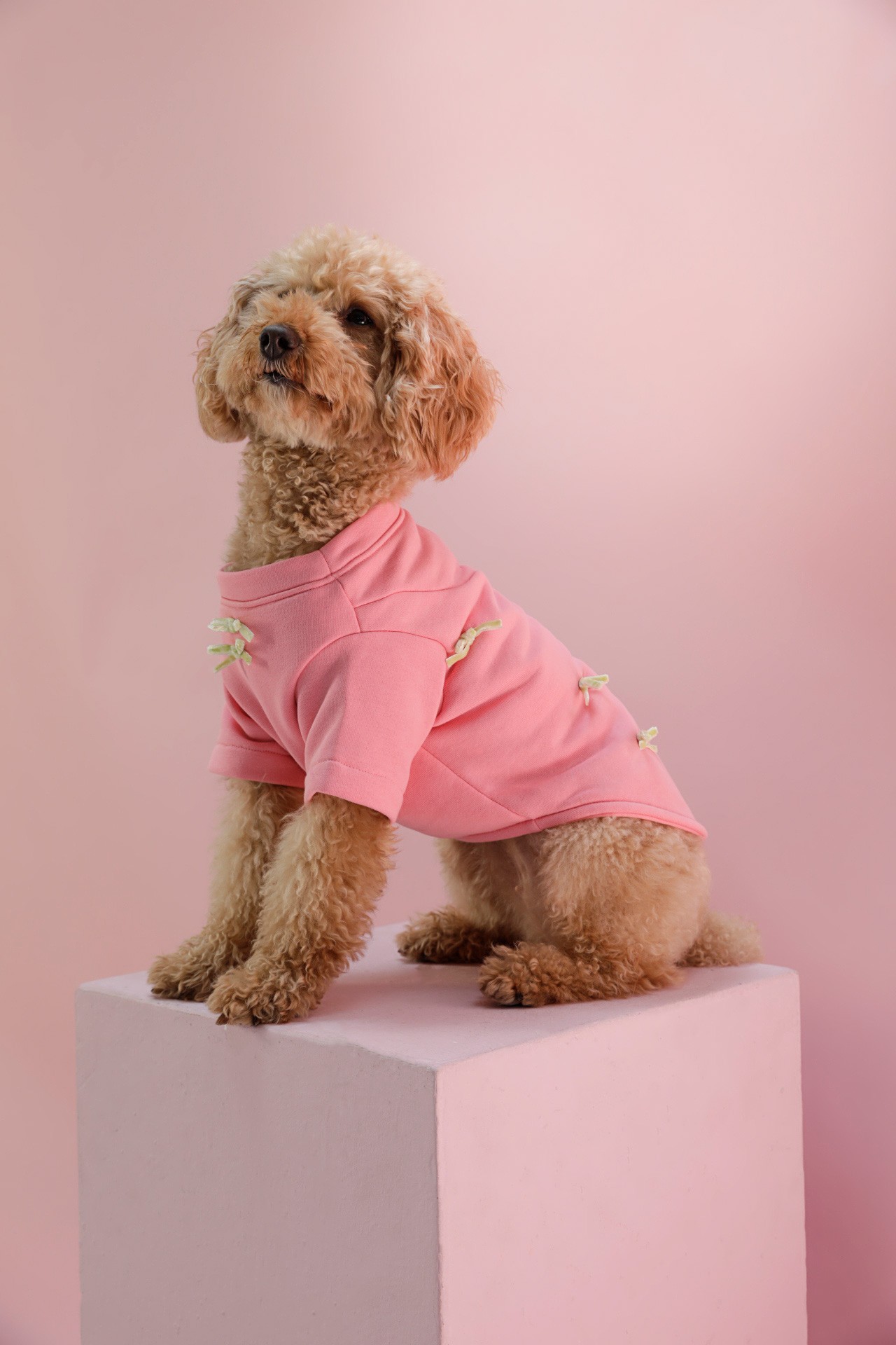 DARLING TOP