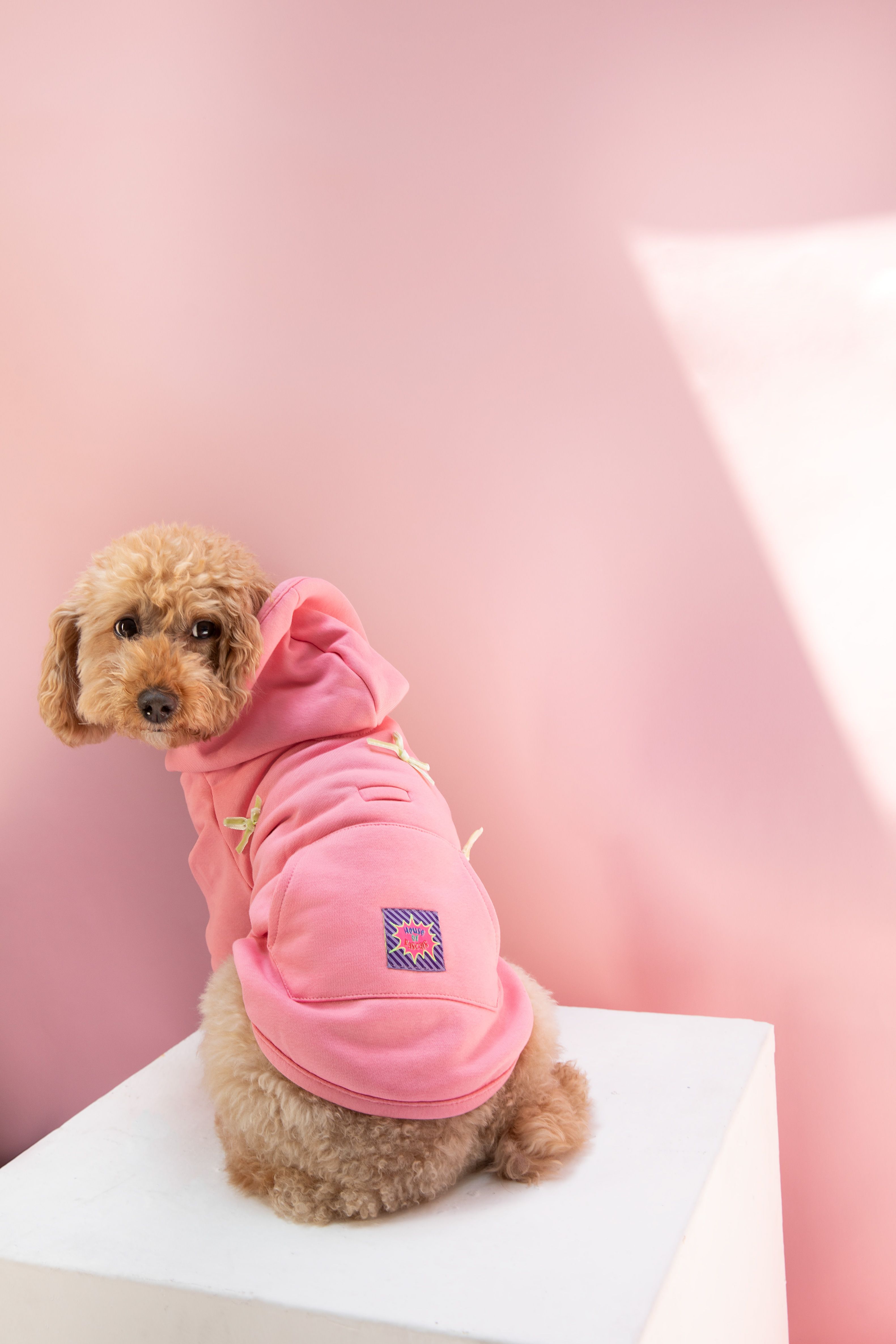 DARLING HOODIE