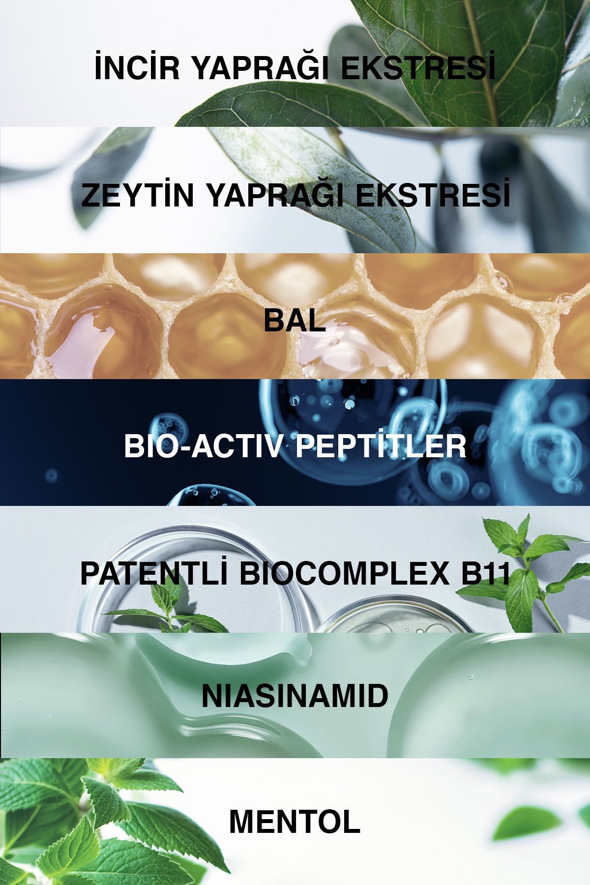Bioxcin Genesis Yağlı Şaçlar İçin 300ml 3 AL 2 ÖDE - Klasik Saç Dökülme Karşıtı Şampuan
