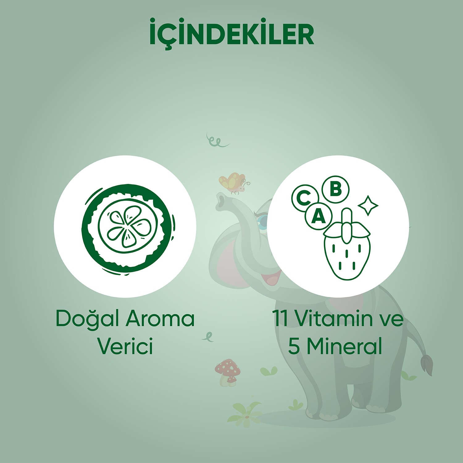 Bağışıklık & Zihin Desteği Seti — VOOP Multivitamin Multimineral Şurup + Ocean Balık Yağ Şurup