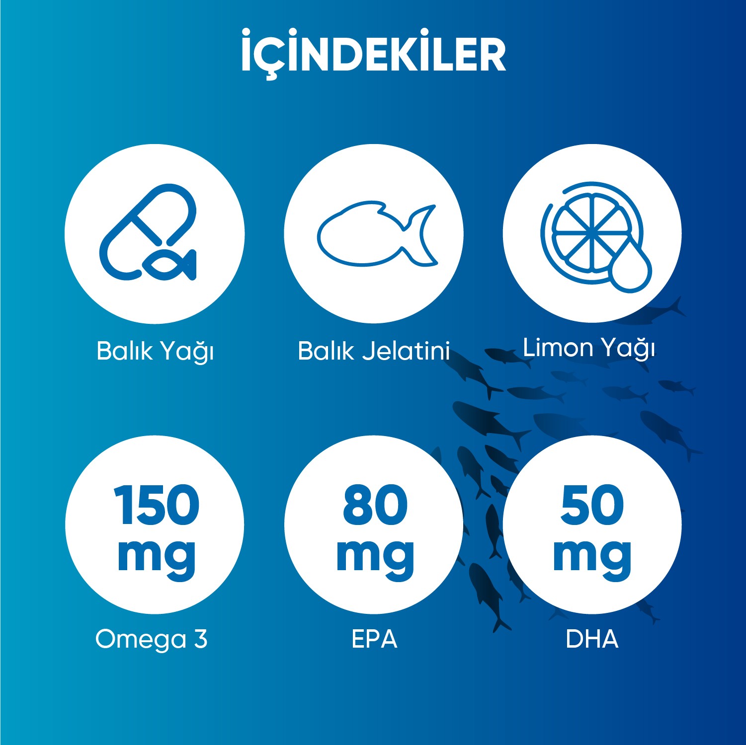 Kas, Kemik & Zihin Desteği Seti — VOOP Omega3 500mg + Ocean D3K2 