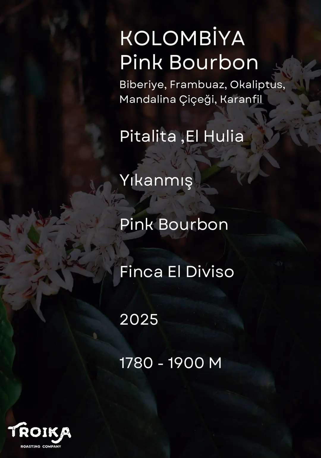 COLOMBIA - Finca El Diviso - Pink Bourbon Washed