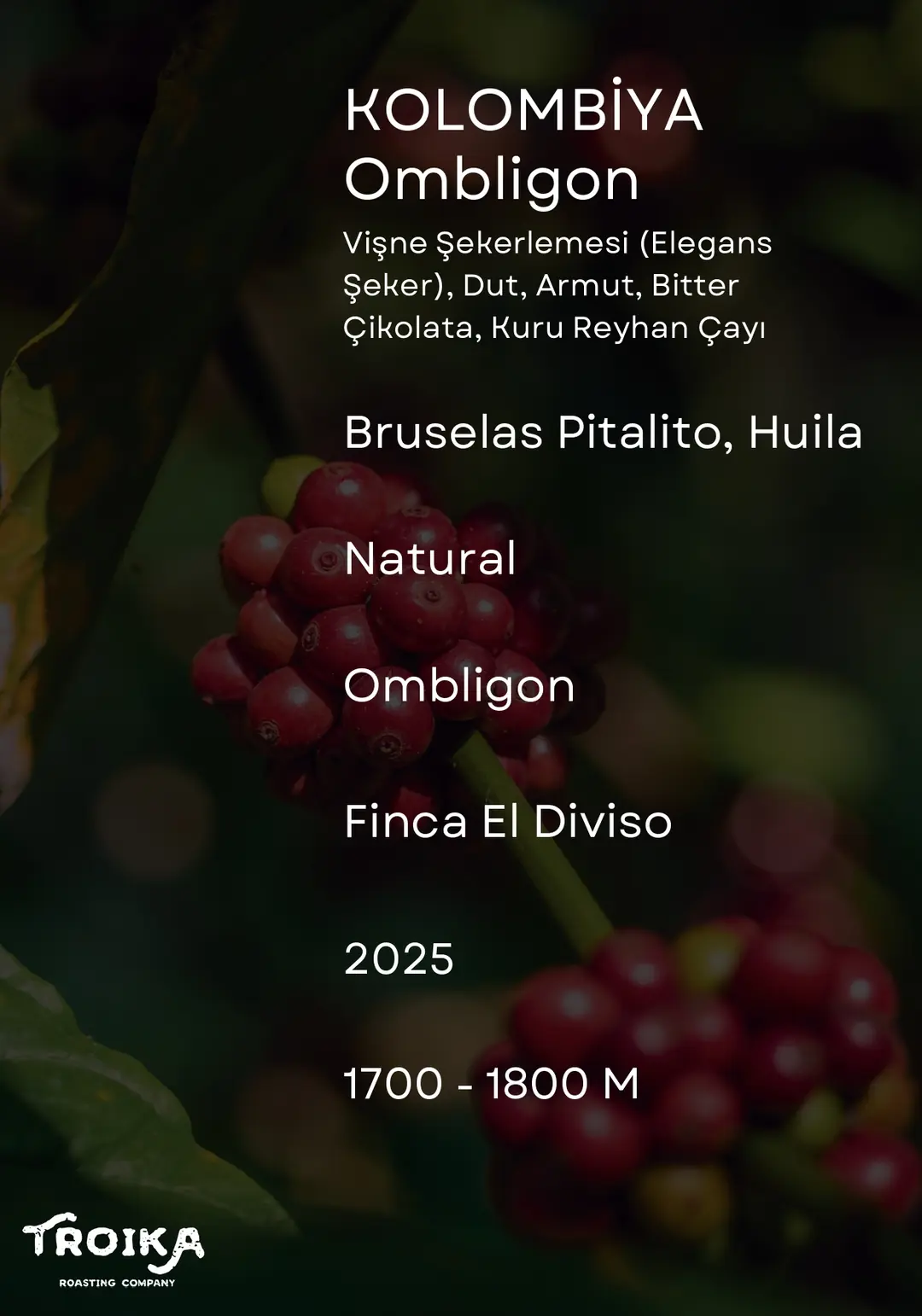 COLOMBIA - Finca El Diviso - Ombligon Natural