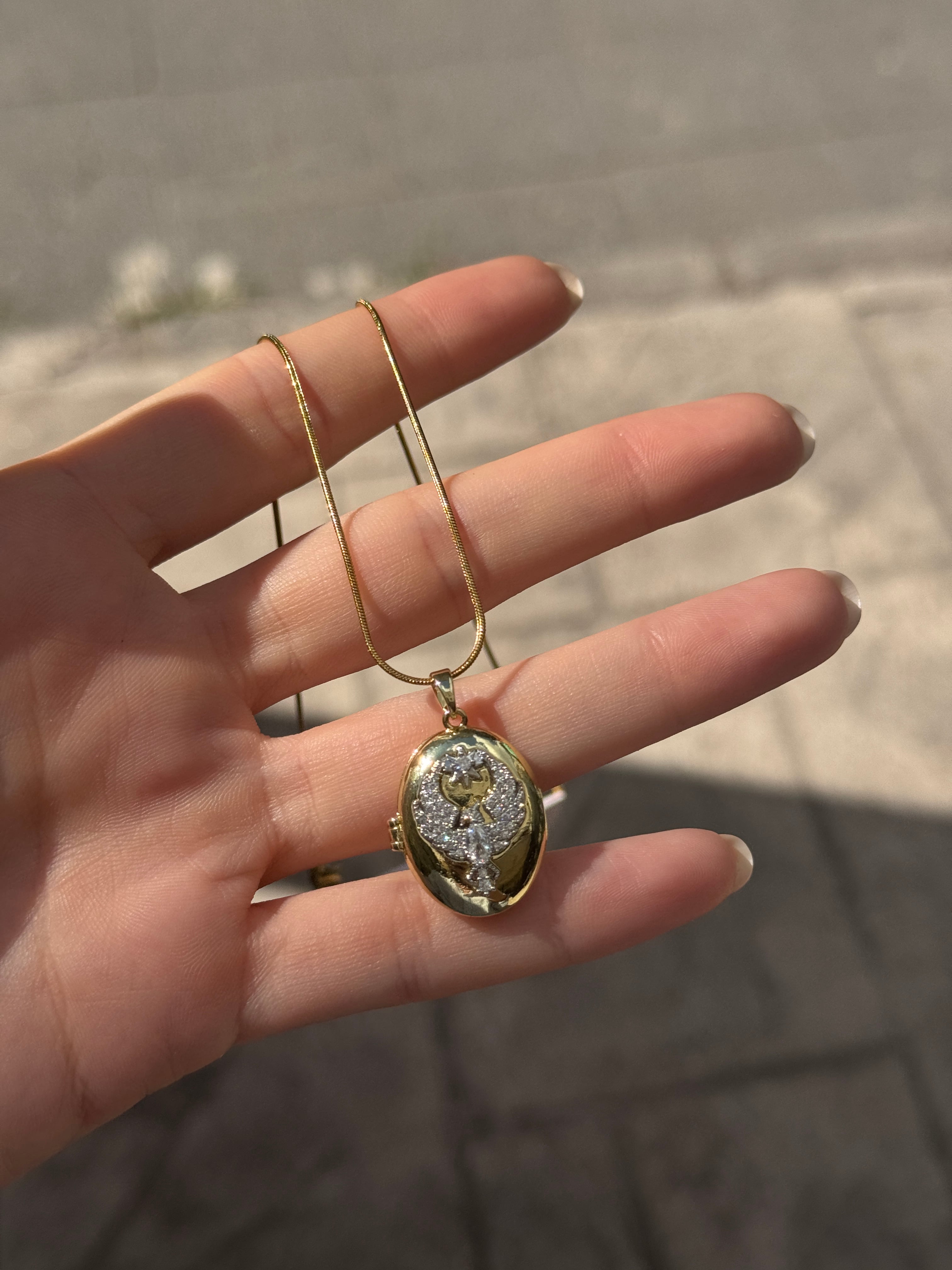 Madalyon Anka Kolye
