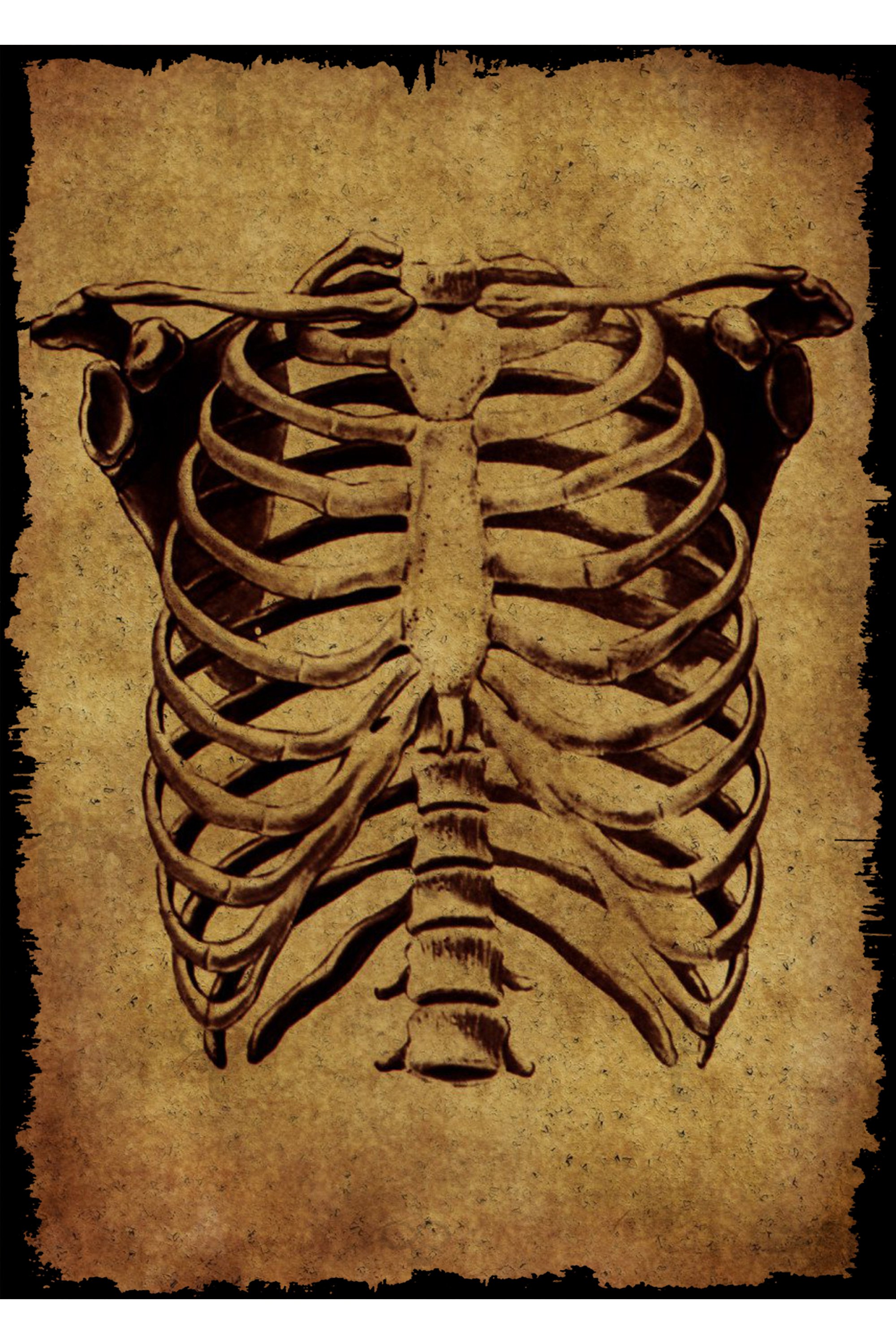 İnsan Anatomisi Temalı Ahşap Tablo