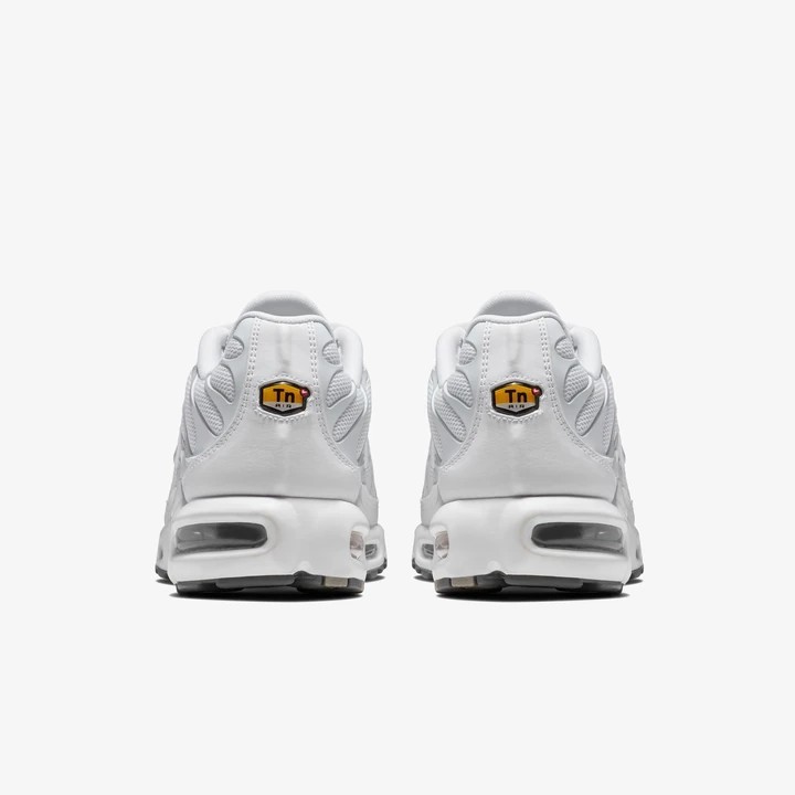 Air Max Plus TN