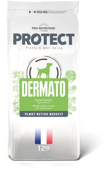 Protect Dermato 12 Kg Dermatolojik Köpek Maması