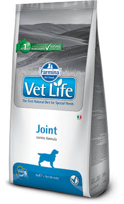 VetLife Joint Köpek Maması 2 Kg