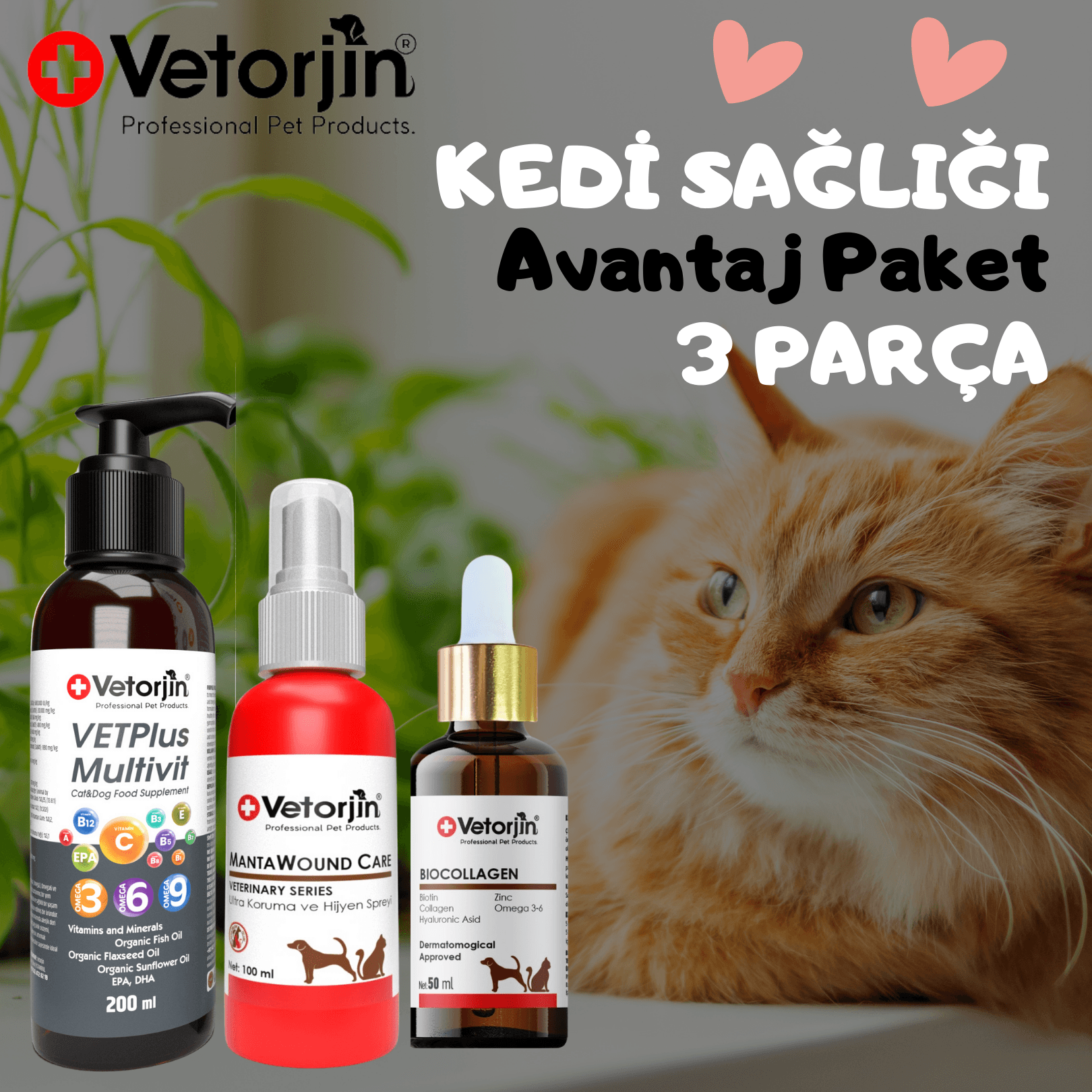 Vetorjin Multivitamin 200 ML + BioCollagen 50 ML + Üstün Koruma Spreyi 100 CC Avantaj Paket