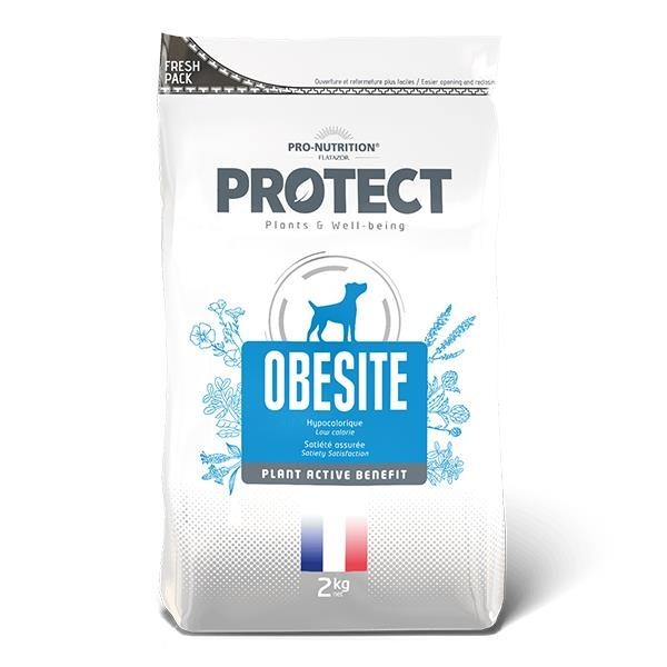 Pro Nutrition Protect Veterinary Obesite Kilo Kontrolü İçin Köpek Maması 2kg