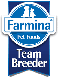 “Farmina Team Breeder Serisi: N&D Kalitesiyle Profesyonel Beslenme”