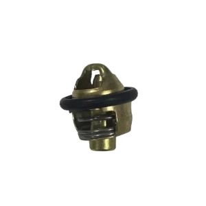 CF MOTO NK 250 Termostat E5 Orijinal