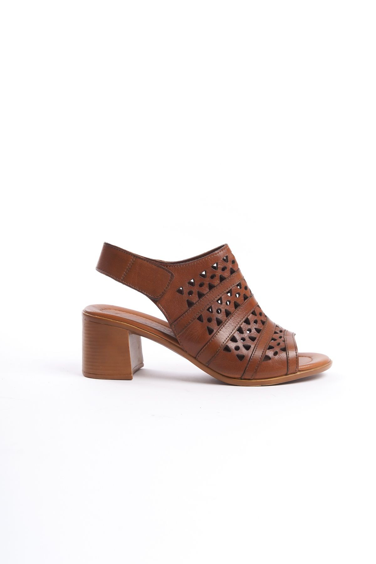 taba-5589