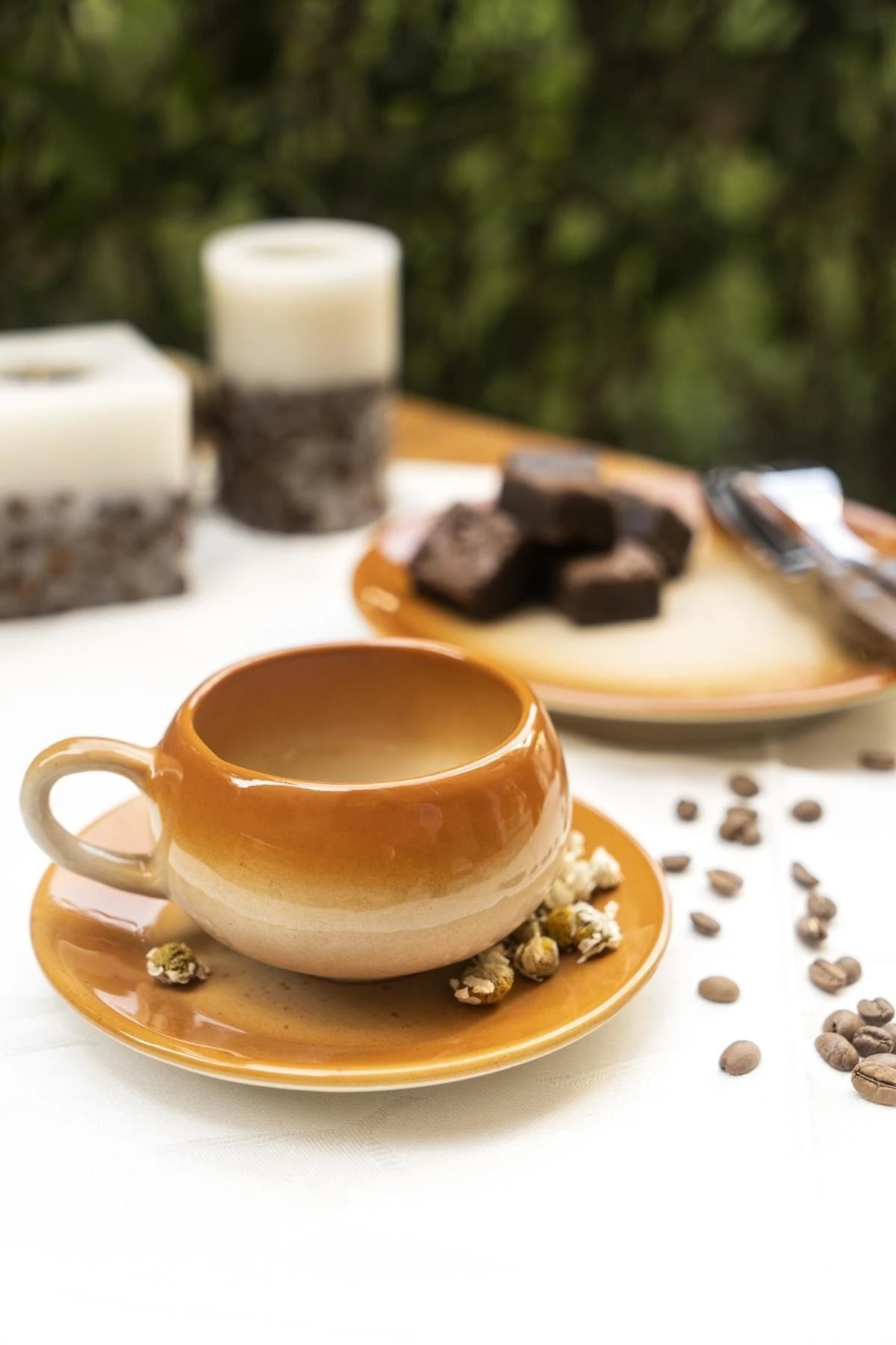 Tagetes Pasta Seti Turuncu