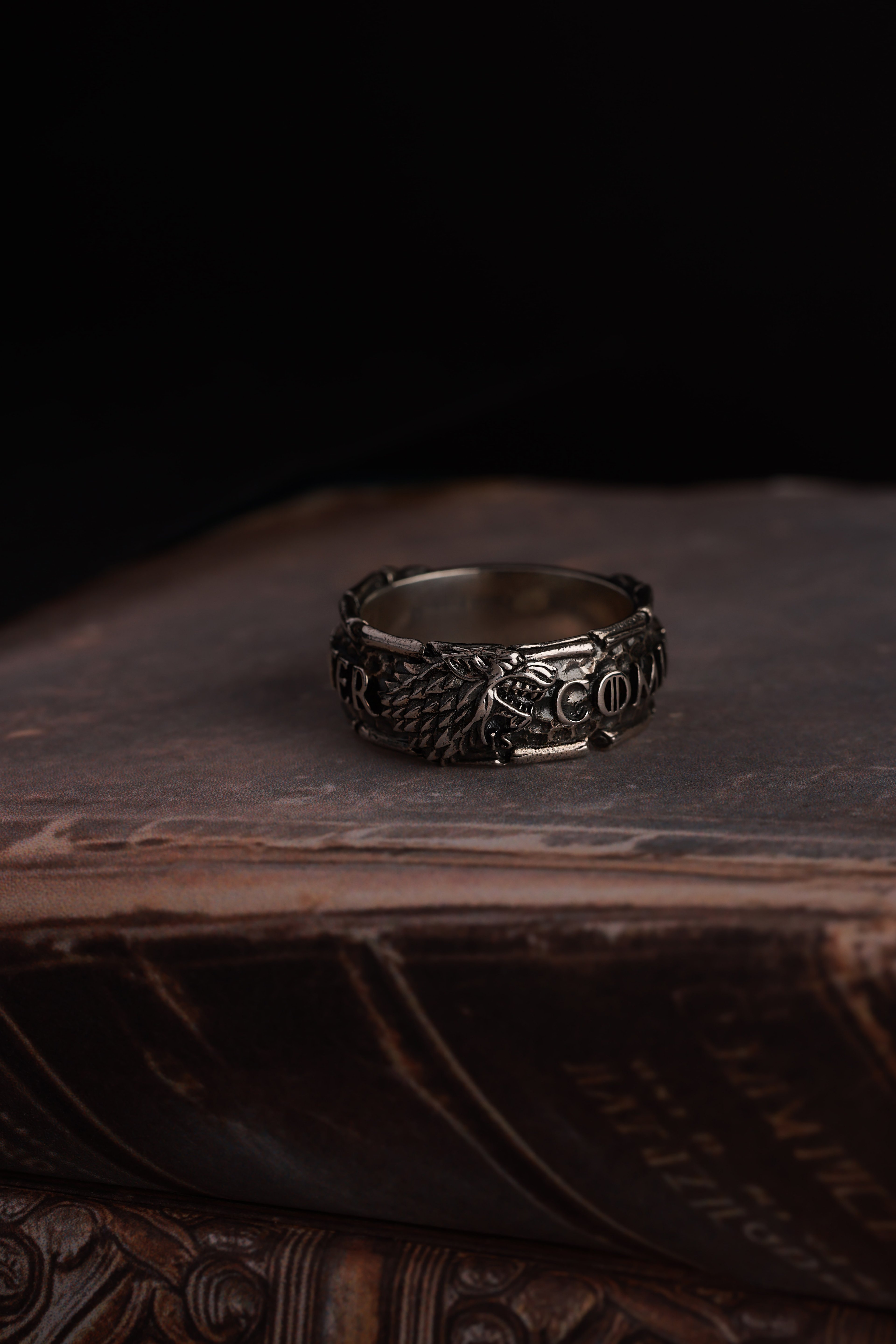 Winter Is Coming Ring