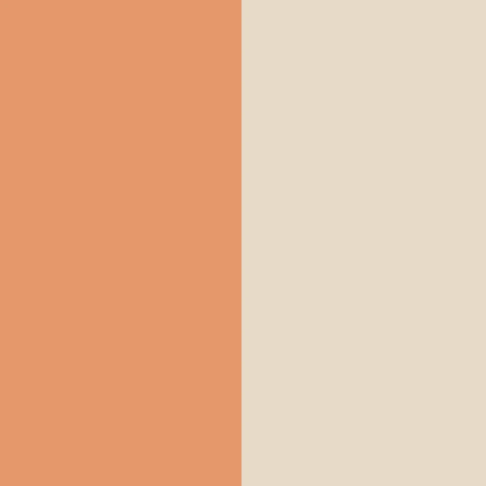 Beige-Terracotta
