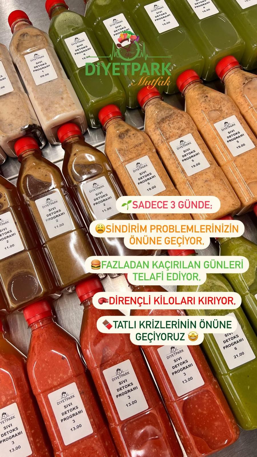 3 Günlük Sıvı Detoks Programı – Antioksidan Paket (Toplam 18 Şişe)